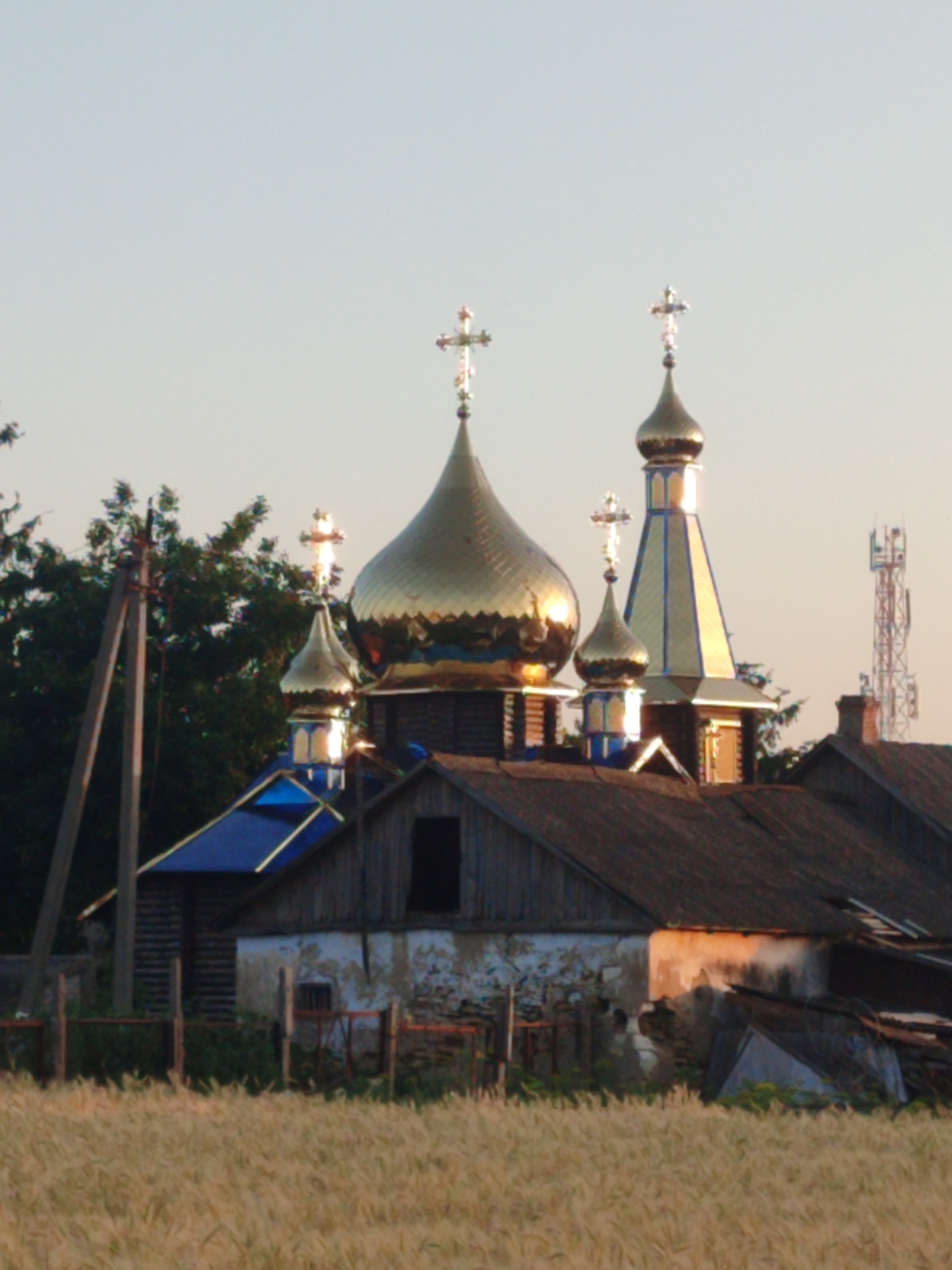An outdoor, eye-level, vertical, medium shot captures a cluster of golden-domed Orthodox churches against a light, hazy sky. In the foreground, a field of dry, tan wheat stalks extends across the bottom of the frame. Behind the wheat field, a low, weathered wooden fence with red metal accents runs horizontally. Beyond the fence, the lower section of a building with a dark wooden roof and white-washed, crumbling walls is visible. The main subject of the image is the group of church domes and structures, featuring multiple golden onion domes topped with crosses, as well as a tall, slender tower with a golden dome and blue trim. The main church structure appears to be wooden, with visible planks. To the left of the churches, a tall wooden utility pole with crossbars stands against a backdrop of dark green trees. In the far right background, a tall, lattice-like cell tower with antennas is visible, along with a brick chimney. The lighting suggests late afternoon or early morning, with warm tones on the building and soft shadows.