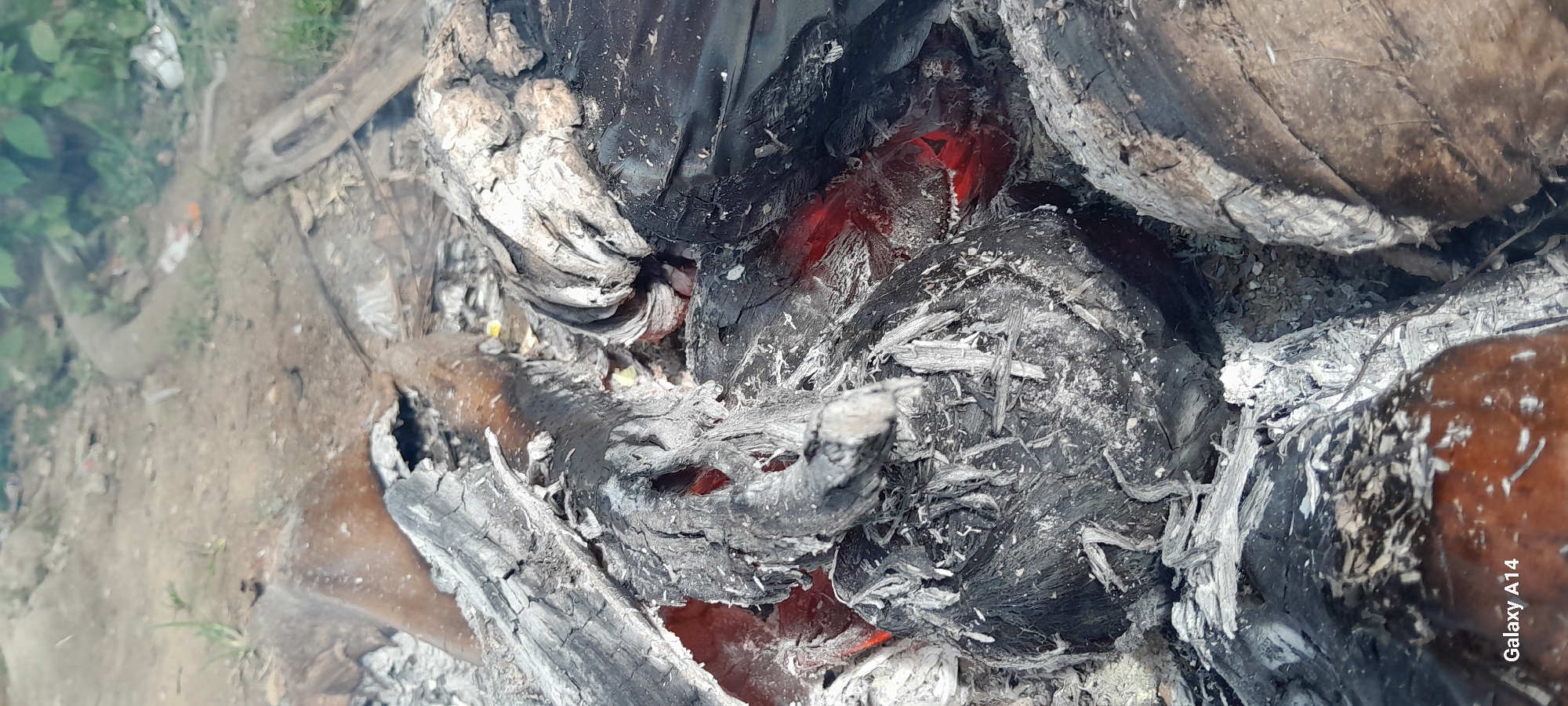 This is a close-up, high-angle, vertical shot of glowing embers and ash from a fire in Tanjong, Indonesia. The primary subjects are charred logs and wood fragments, some of which are glowing red from the heat. The ground appears to be dirt and ash, with some dry grass and foliage visible in the background. The scene is a depiction of a dying fire, with smoke faintly rising from the embers. There are no people or animals visible in the frame. The overall impression is one of heat, decay, and the remnants of combustion. The lighting is natural and somewhat diffused, with the bright red of the embers providing a stark contrast to the dark char and grey ash.