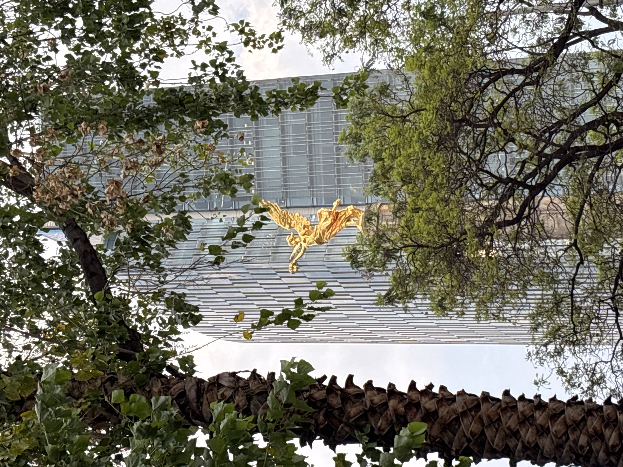 From a low angle, the golden Angel of Independence statue is visible in Mexico City, Mexico. The statue is framed by trees, partially obscuring a modern building behind it. The building has a grid-like facade. Parts of a palm tree are in the foreground at the bottom of the frame. The sky is overcast.