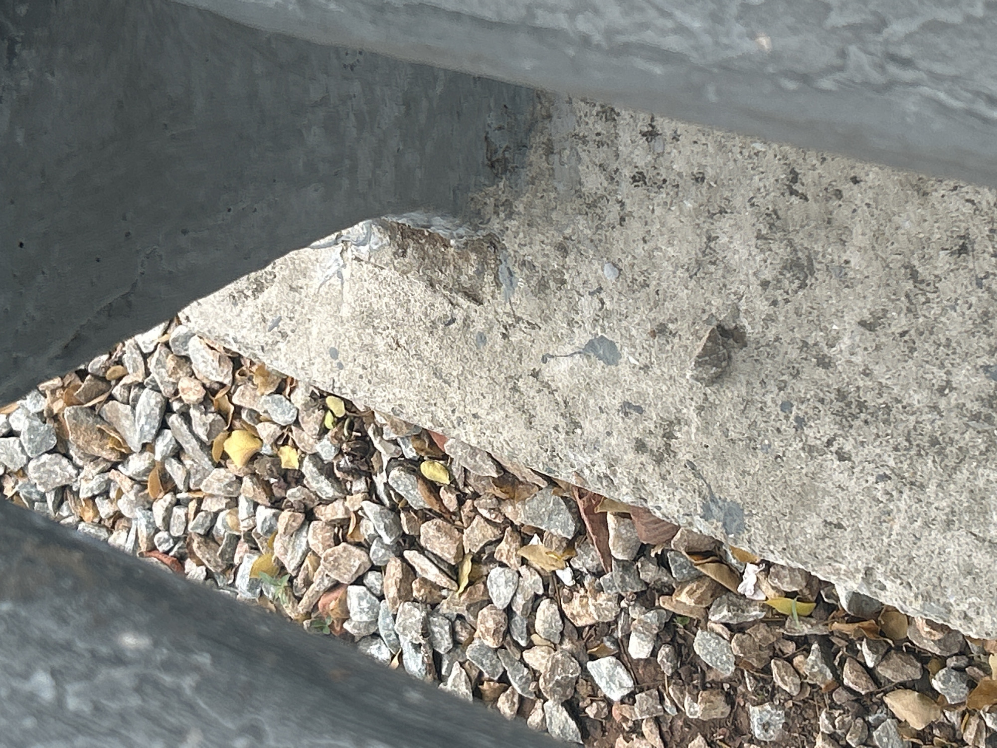 The image shows a close-up of a narrow gap between two rough, gray concrete structures. The gap is filled with a mixture of small gray, brown, and tan stones, as well as a few scattered dry leaves, some of which are yellow. The ground surface on the right side of the gap is a rough, textured gray concrete. There are no people or animals visible in the image. The scene appears to be outdoors, likely in a public space or walkway. There is no information to suggest this image is located in Santa Ana, Venezuela.