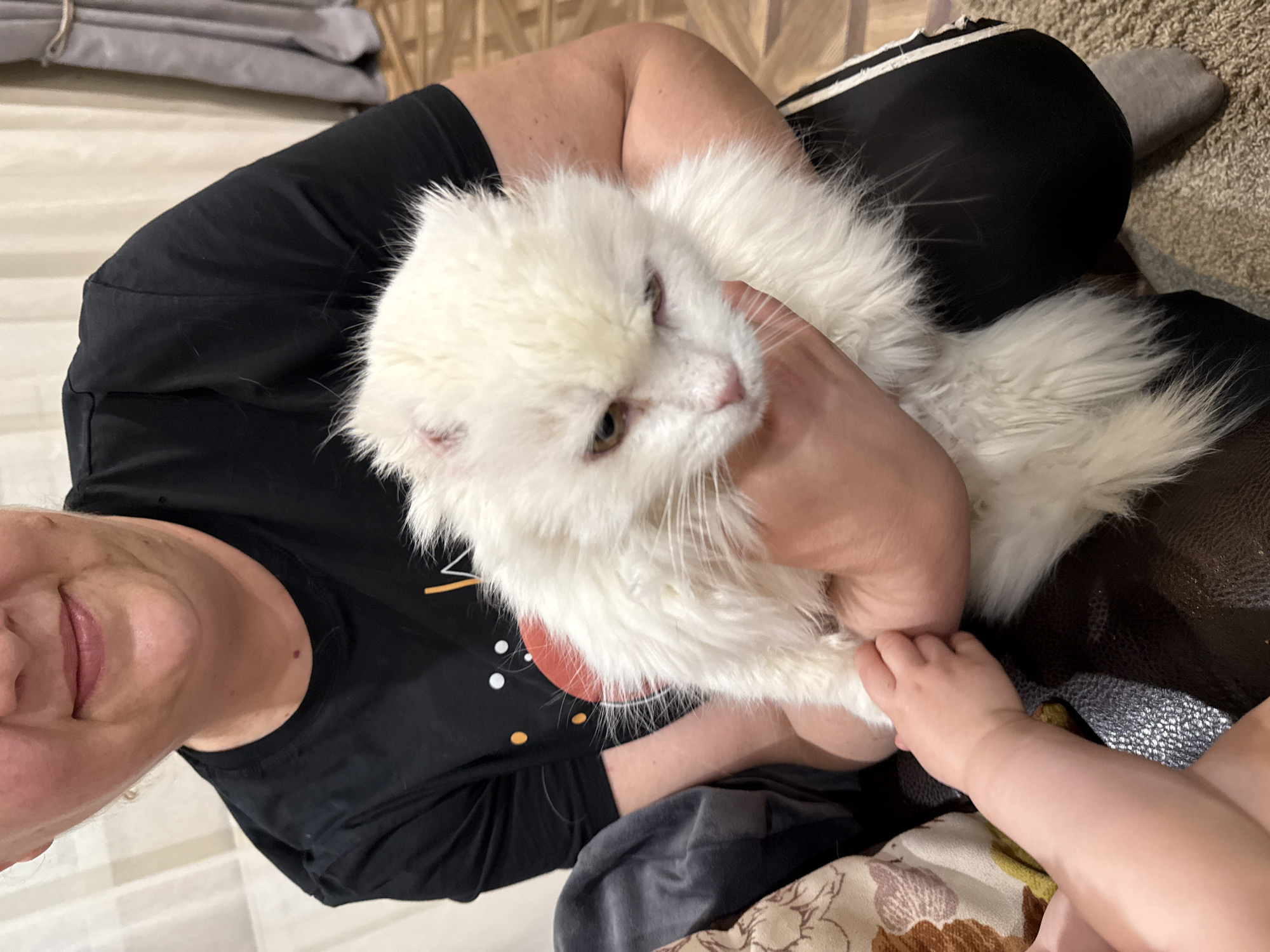 The image presents a heartwarming indoor scene featuring an adult, a fluffy white cat, and a baby's hand. An adult, visible from the chin upwards on the left, has light skin and a gentle smile. She is wearing a black short-sleeved t-shirt adorned with a faint, abstract design of white dots and orange/yellow lines on the chest area.
She is seen cradling a large, long-haired white cat, possibly a Persian or similar breed, which is nestled comfortably against her. The cat has light brown or amber eyes and appears calm, looking slightly to its right. The adult's hand is gently supporting the cat's head and neck.
In the lower right quadrant of the image, a baby's small arm and hand are visible, reaching out towards the cat or the adult's hand, suggesting interaction. The baby's arm rests on a patterned fabric, possibly a blanket or part of their clothing, featuring floral or organic motifs in shades of brown, green, and cream.
The background indicates a domestic setting, likely a living room. Elements include a light-colored wall or curtain, some folded grey fabric, and a textured, light brown carpet. The lighting suggests a relaxed, possibly daytime, atmosphere. The overall impression is one of affection and a tender moment shared between family members, including a beloved pet. The provided location context is Krapivka, Russia. No clear text is visible.