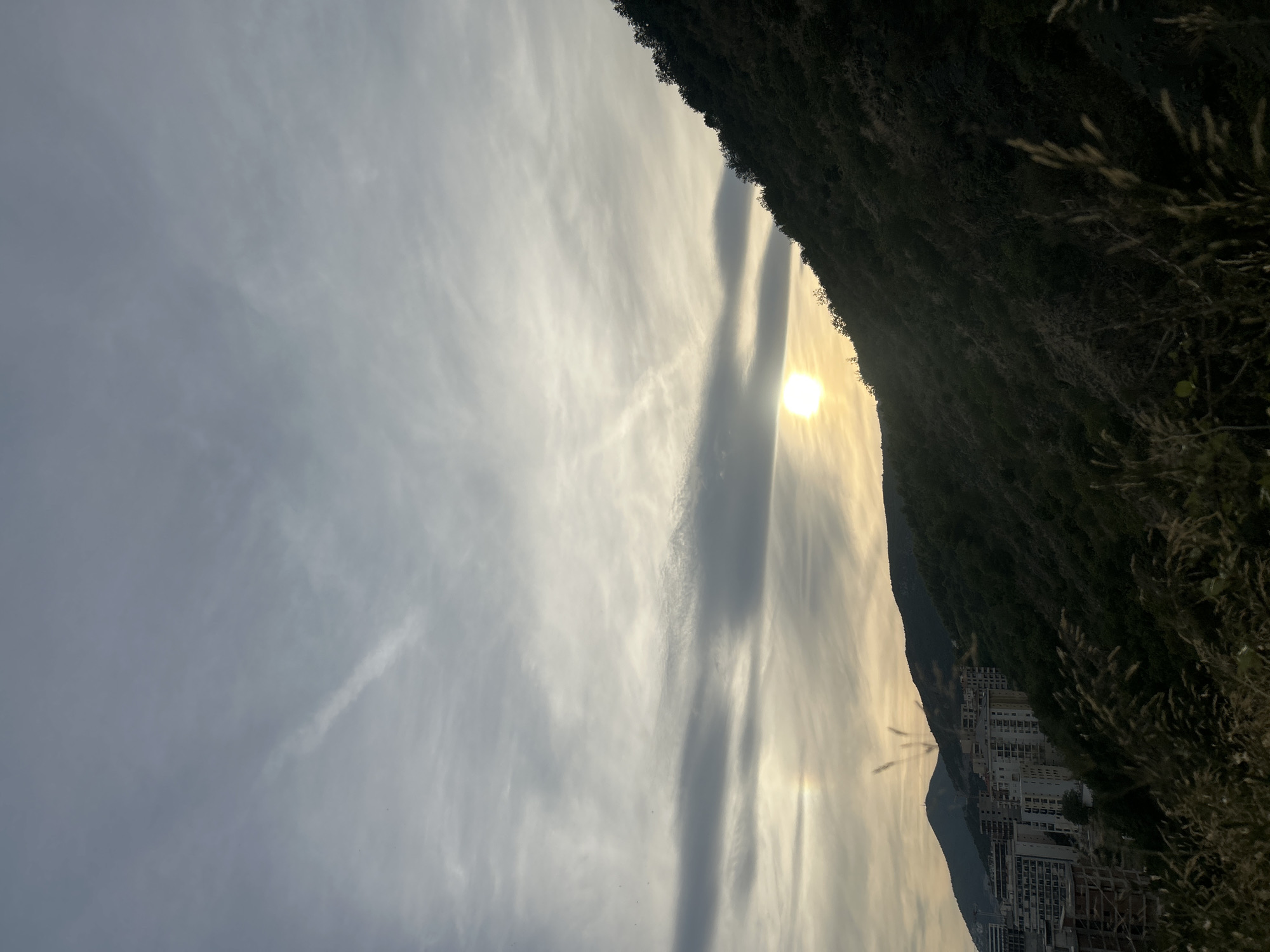 An elevated perspective captures a sunset over Rafailovići, Montenegro. The sky is filled with a gradient of gray and white clouds, with a bright, sun-like orb positioned in the middle right of the frame, casting a warm glow. A faint, colorful halo encircles the orb, hinting at atmospheric optics. To the left, a cluster of unfinished, high-rise buildings dominates the urban landscape, some appearing to be under construction. The buildings are interspersed with darker green hills, some of which are densely covered in trees. In the foreground, blurred wild grasses and reeds sway, adding a natural element to the scene and partially obscuring the view of the city below. The overall mood is serene, with the soft light of sunset softening the edges of the urban development.