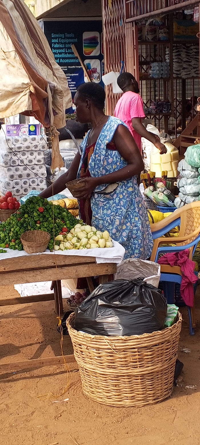 This image depicts an outdoor market stall in Dzodze, Ghana, under daylight. In the foreground, a dark-skinned adult female, wearing a blue floral patterned sleeveless dress over a red patterned top, stands facing left in profile, reaching her right arm towards a wooden table. Her left hand holds a small, empty woven basket. The wooden table is covered with a white cloth, displaying piles of fresh produce: red tomatoes, a large mound of green chili peppers with some red peppers interspersed, and a pile of light green/yellow bell peppers or small eggplants. A large, cylindrical woven basket containing a black plastic refuse bag rests on the reddish-brown dirt ground in front of the table.
In the mid-ground, behind the female vendor, a partially visible individual wearing a pink t-shirt stands near a market stall secured by a brown metal scissor gate. To the left of the gate, a blue rectangular sign is visible, bearing text that includes "Sewing Tools and Equipment Fabrics and beyond Lace Embellishment and Accessories." Inside the stall, stacks of merchandise are visible, including multi-packs of white toilet paper rolls, yellow rectangular blocks (possibly soap or cheese), and various bagged items. A blue and tan plastic chair with a piece of red fabric draped over its back is positioned to the right of the stall entrance. An overhead brown canopy or awning partially shades the vendor's area. The ground throughout the visible area consists of reddish-brown earth.