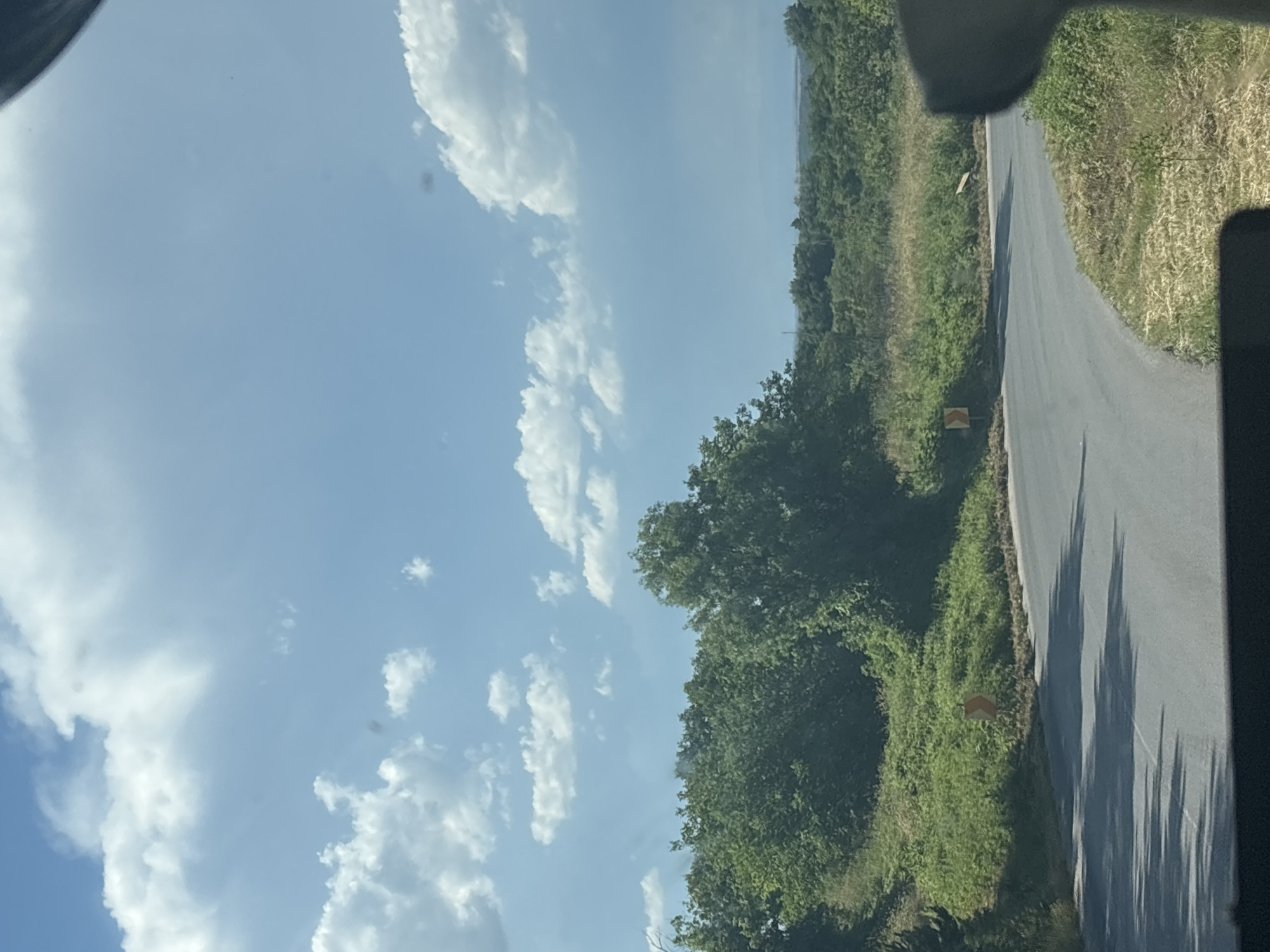 The image shows a paved road curving to the right through a rural landscape, likely near Topolovgrad, Bulgaria. Lush green trees and vegetation line the sides of the road, with dry grass and some patches of yellow foliage present on the embankments. A yellow directional sign with a black arrow pointing to the right is visible on the left side of the road, indicating a curve ahead. The sky is partly cloudy with bright white cumulus clouds against a light blue backdrop. The scene appears to be captured during daylight hours, with shadows cast on the road, suggesting a sunny or partly sunny day. The perspective suggests the photograph was taken from a moving vehicle.