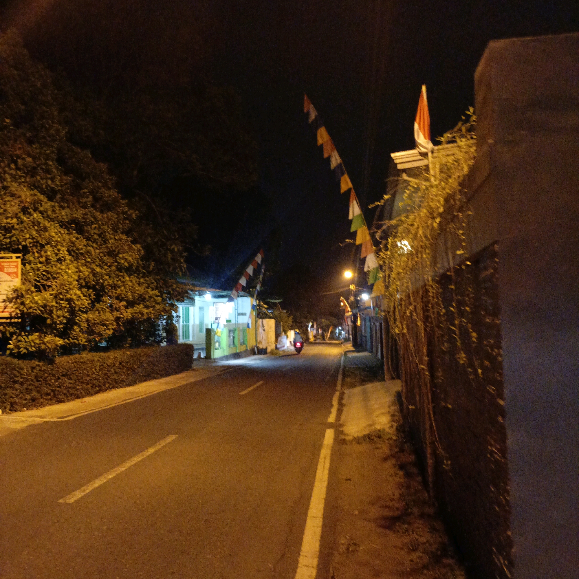The image depicts a street scene at night in Salatiga, Indonesia. The road, marked with a yellow line, is asphalt and appears wet. On the left side of the road, there is a dense hedge and a large tree with foliage illuminated by artificial light, casting a warm glow. To the left of the tree, a building with a light-colored facade and green window frames is visible, with a red and white striped flag or banner displayed. Further down the road, on the right side, is a brick wall covered in hanging vines with small yellow flowers, illuminated by a street lamp. Several colorful triangular flags, possibly pennants, are strung across the road and attached to poles, with one prominent red and white Indonesian flag on the right. A motorcycle with a rider is moving away from the camera down the street, its headlight casting a beam forward. The overall atmosphere is dark, with artificial lighting creating pockets of illumination.