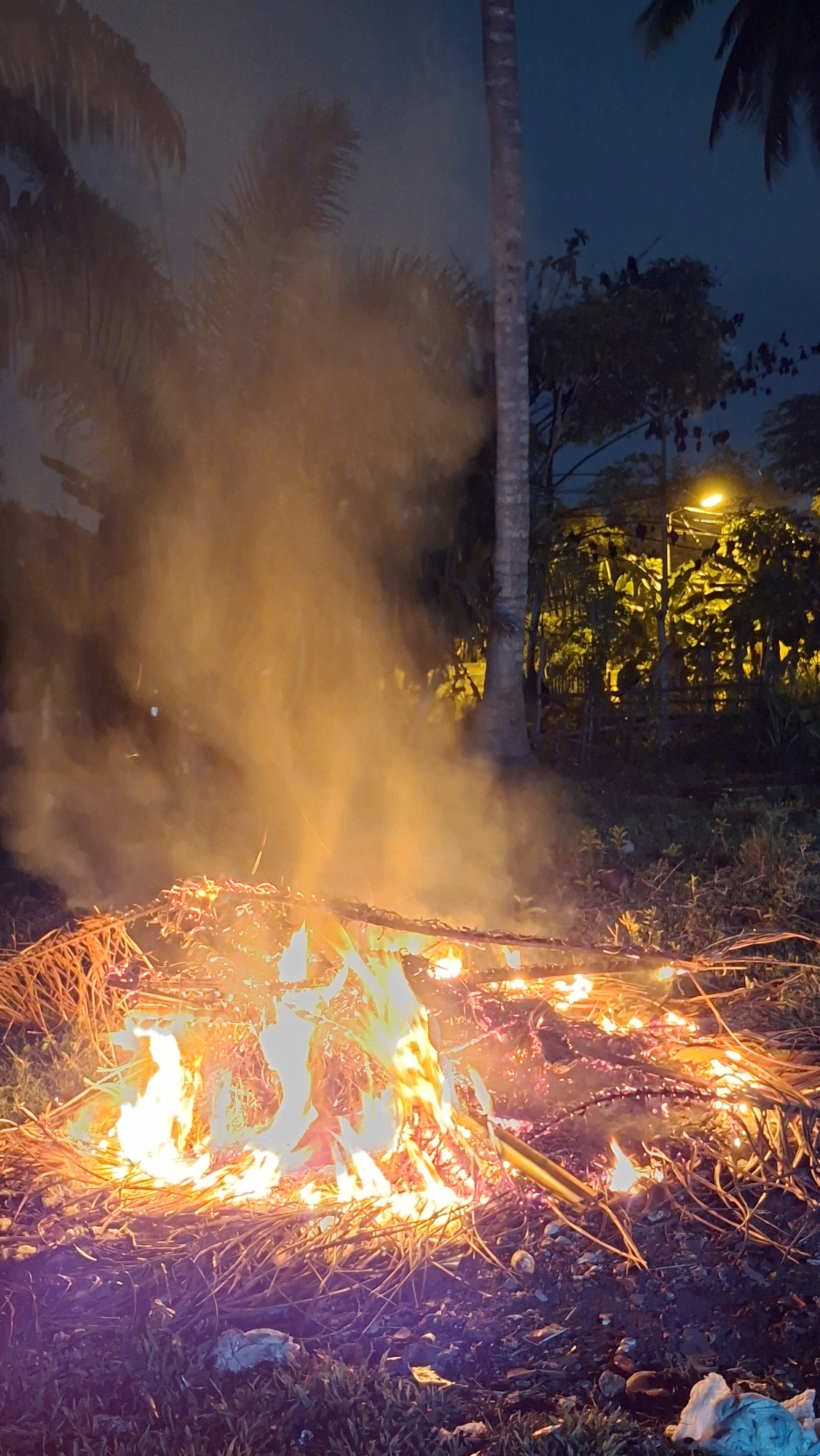 A nighttime outdoor scene in Lhokseumawe, Indonesia, features a bonfire burning on the ground. The fire illuminates a pile of dry plant matter, likely palm fronds or similar vegetation, with flames reaching upward and emitting a significant amount of smoke. The smoke drifts upwards and to the left, partially obscuring the dark silhouettes of palm trees in the background. To the right of the bonfire, a tall, slender palm tree trunk is visible, and further back, a streetlamp casts a yellow glow on lush, dark foliage and the trunks of other trees. The ground around the fire is covered with more dry vegetation, debris, and some small rocks. The overall atmosphere is dark, with the fire providing the primary light source and creating a stark contrast with the shadowy environment.