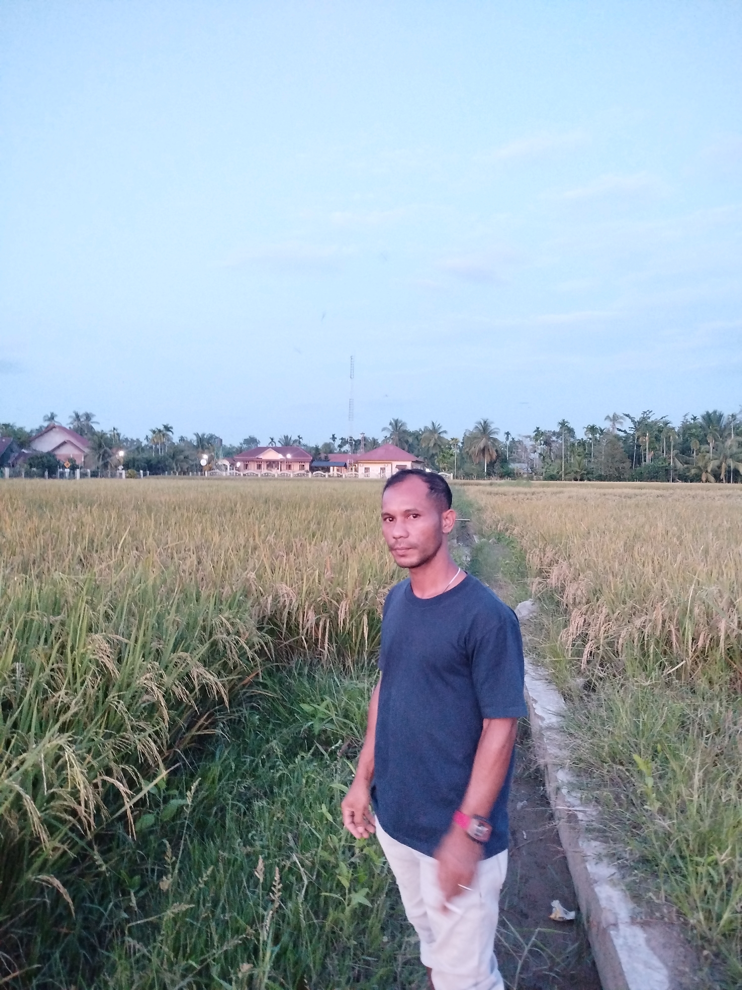 The image shows a man standing in a rural setting in Tanjonghajimuda, Indonesia. He is facing the camera, wearing a dark blue t-shirt and light-colored pants. He has a watch on his left wrist. The man is standing on a narrow concrete path that separates two fields of tall, golden rice plants. Beyond the rice fields, there are houses and trees. The sky is a pale blue color, suggesting it is either early morning or late afternoon. A transmission tower is visible in the distance. Weeds grow at the edge of the path. The man appears to be holding something in his right hand.