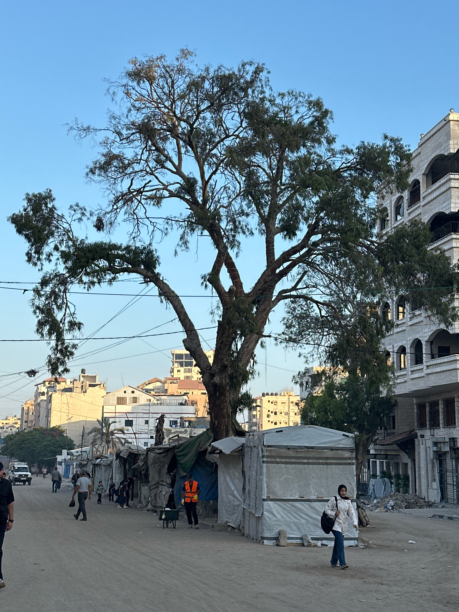 This image depicts a street scene in Gaza City, Palestinian Territories. A large tree with sparse foliage dominates the center of the frame, with its branches extending over a dirt road. Along the sides of the road, makeshift structures constructed from tarps and corrugated metal are visible, suggesting a market or informal settlement. Several people are walking along the street, including a woman in the foreground wearing a headscarf and carrying a bag. In the background, buildings with distinct architectural styles, some appearing partially damaged or under construction, line the street. Overhead, power lines are strung across the scene. The sky is clear and blue, indicating daylight. The overall impression is one of a busy urban environment with elements of temporary or informal living structures interspersed with more permanent buildings.