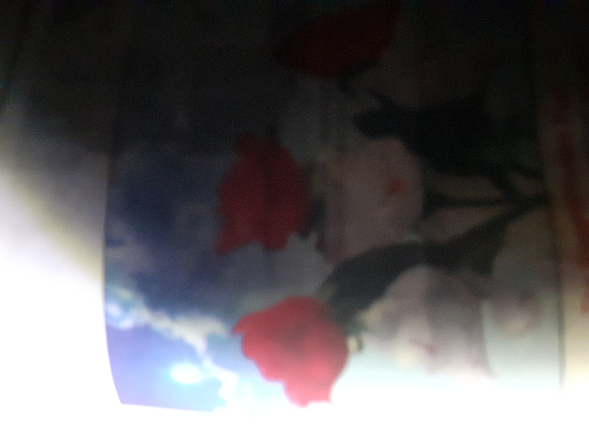 The image displays a close-up, blurry view of a printed image, likely on a mug or similar cylindrical object. The printed image features several red flower-like shapes, possibly roses, against a background of muted blues and whites, suggesting a sky or cloudy scene. There are also dark, silhouetted shapes that could be interpreted as figures or abstract elements. The lighting in the photograph of the mug is uneven, with a bright light source on the left side, causing overexposure in that area. The image is largely out of focus, making precise identification of details difficult. The context of Jalingo, Nigeria is not visually discernible from the image content itself.
