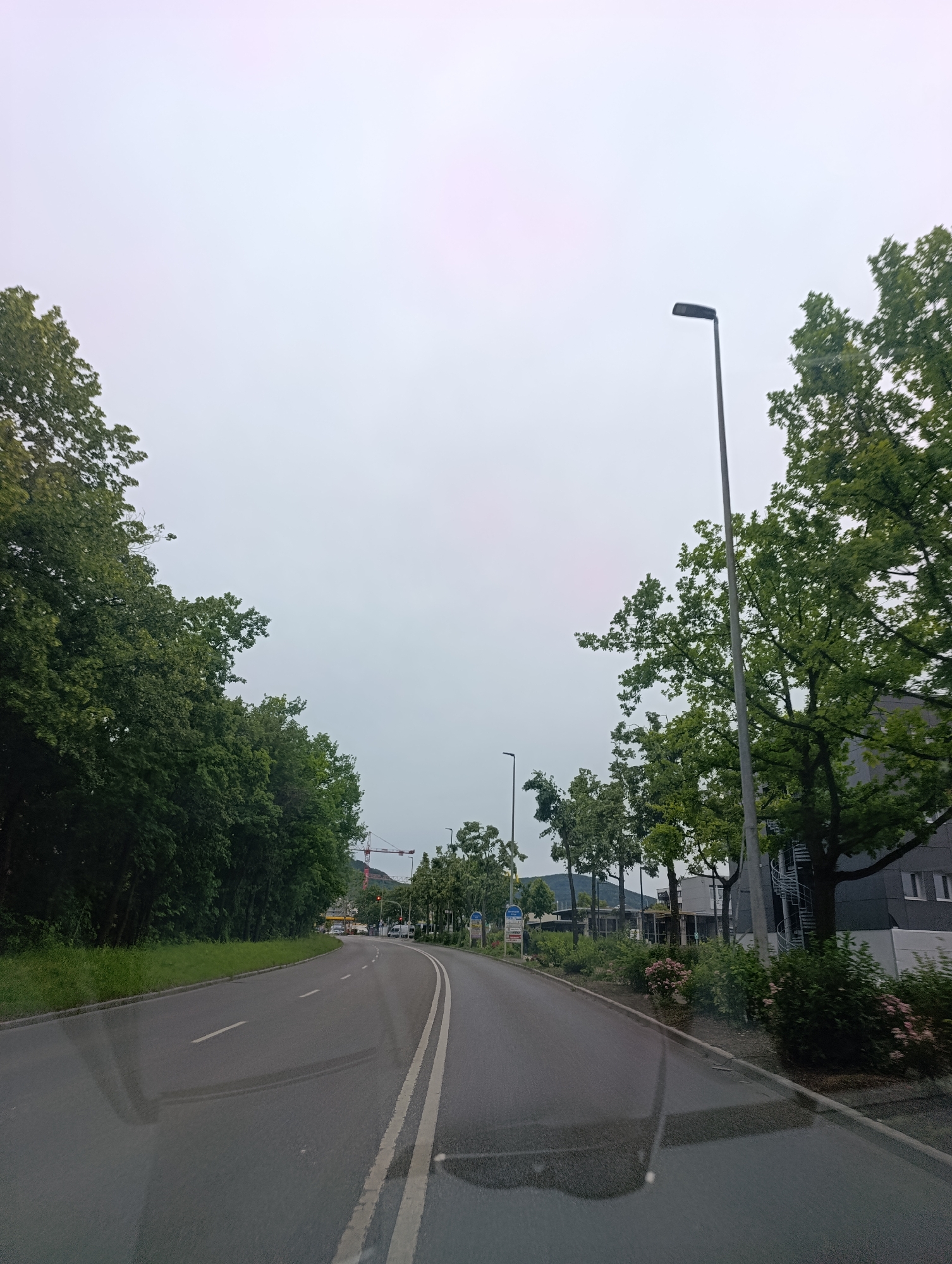 The image depicts a road in Pfullingen, Germany, on a cloudy day. A two-lane asphalt road curves to the right, with a white line dividing the lanes and a dashed white line on the left edge. Lush green trees line both sides of the road. On the left, the trees are dense, forming a wall of foliage. On the right, the trees are interspersed with a building that has grey siding and windows. A tall lamppost stands near the building. In the distance, a red construction crane is visible, along with a few vehicles and street signs. The sky is overcast with a pale, washed-out hue, with a slight pinkish tint at the top. The overall impression is that of a suburban or semi-urban setting in Pfullingen, Germany.