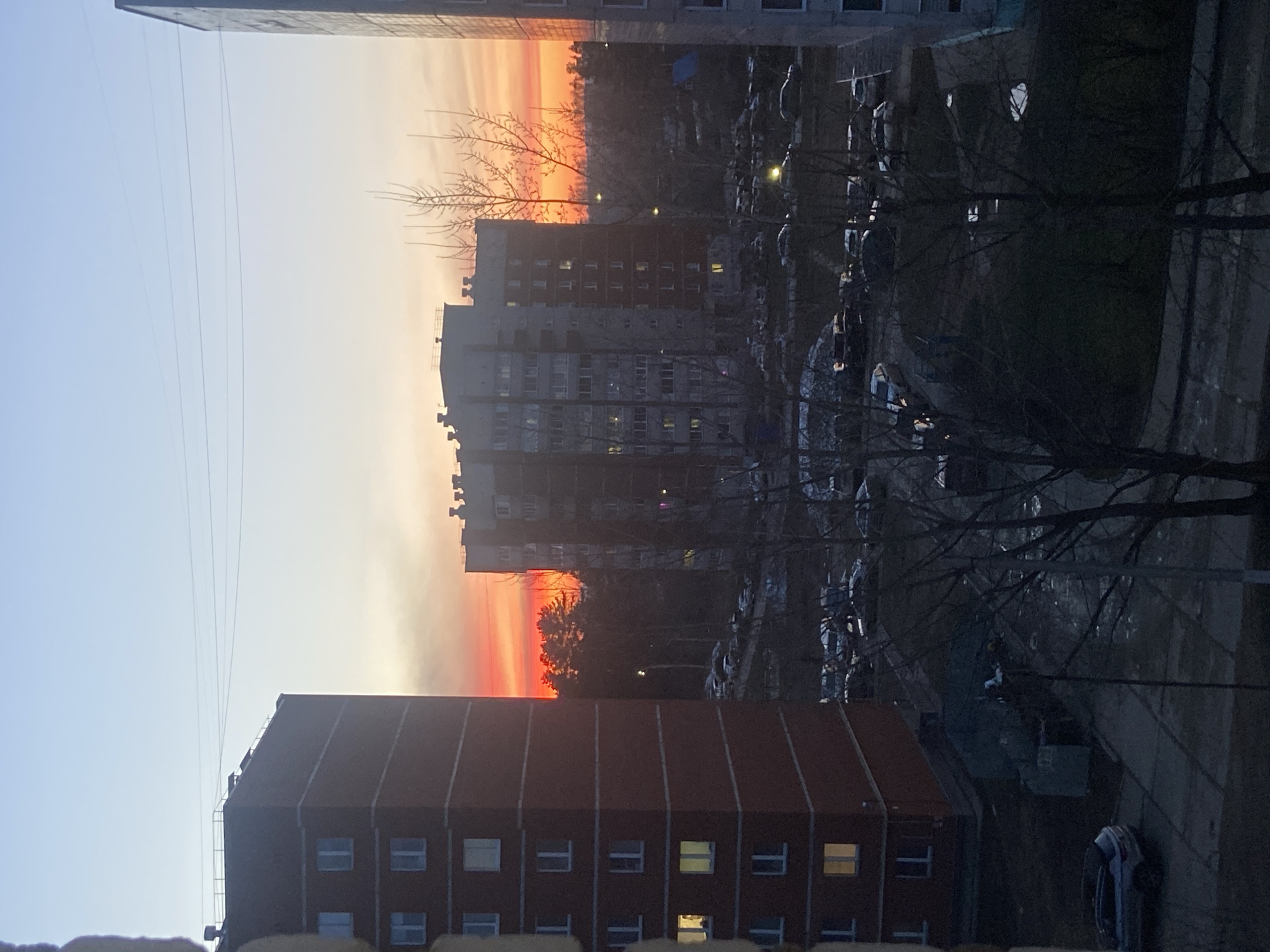 The image shows a view from a window in Chaikovsky, Russia, at sunset. The sky is a gradient of orange and blue behind two multi-story buildings, one red brick and the other grey. The grey building is taller, with several visible windows. Many bare trees stand in the foreground. Beyond the building, a parking lot is visible, filled with cars. A paved road runs along the right edge of the frame, with a car parked against it. Some of the windows are lit from within.