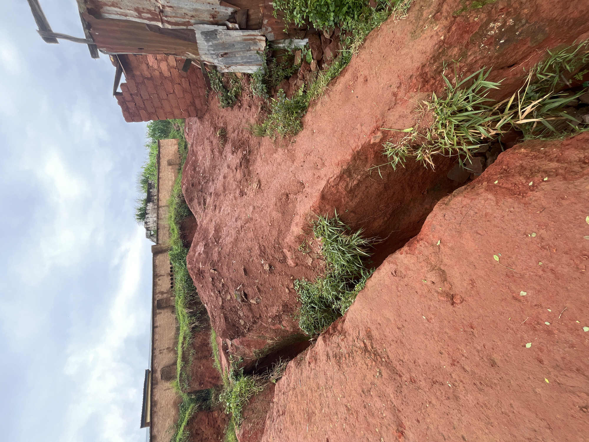 A low-angle shot captures a dramatic, eroded landscape in Gembu, Nigeria, dominated by rich, red earth. A deep gully cleaves through the foreground, with steep, raw earth walls suggesting recent erosion. Patches of green grass and small plants cling precariously to the edges of the gully and the surrounding mounds of earth.
In the background, a weathered, tan-colored wall with a dark, capped roof runs horizontally across the scene, partially obscured by greenery. To the right, the remains of a brick structure, also made from red brick, stand against the cloudy sky. A section of corrugated metal sheeting, rusted and bent, is attached to the side of this structure, adding to the impression of decay and hardship. The overall environment appears to be one of rural poverty and environmental vulnerability, possibly within or on the outskirts of Gembu. The sky is overcast with soft, diffused light, suggesting a cloudy or pre-rainy day. No people or animals are visible in the image.