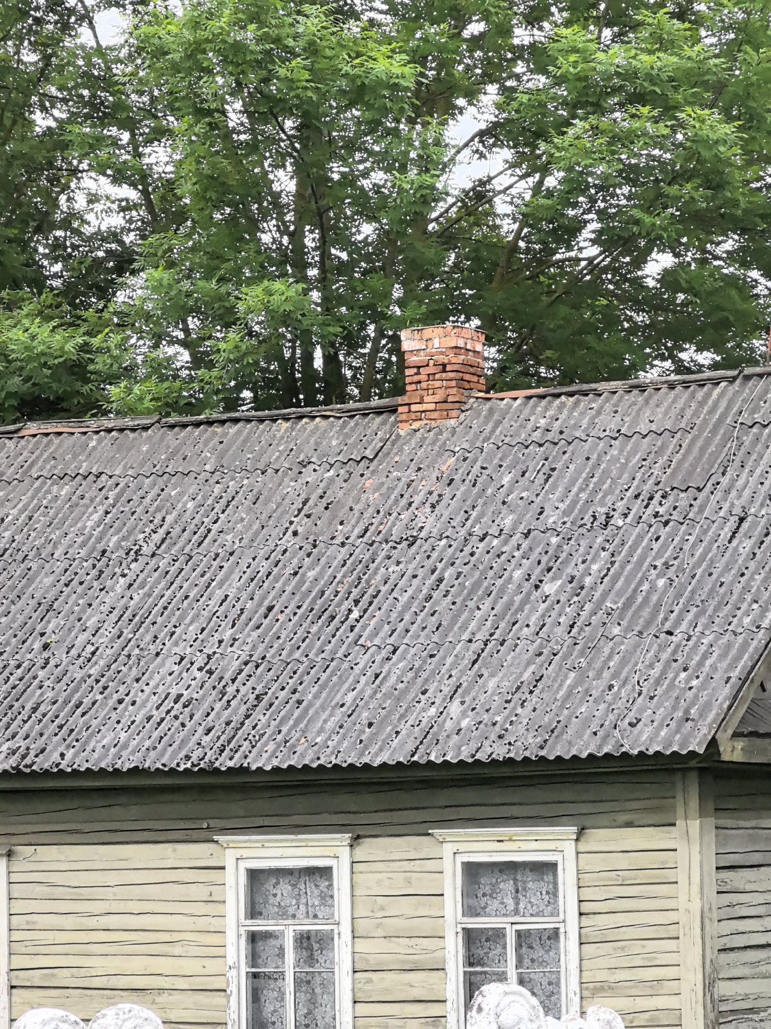 An exterior, eye-level, full shot depicts a close-up of a weathered, grey, corrugated roof with a brick chimney on the left side of the frame. The roof is partially obscured by the dense green foliage of trees in the background. Below the roof, the top portion of a light yellow, wooden house is visible, featuring two white-framed windows with white lace curtains. The windows are evenly spaced, and the wooden siding of the house exhibits horizontal lines and some visible cracks. The overall scene suggests an older, rural or semi-rural dwelling.