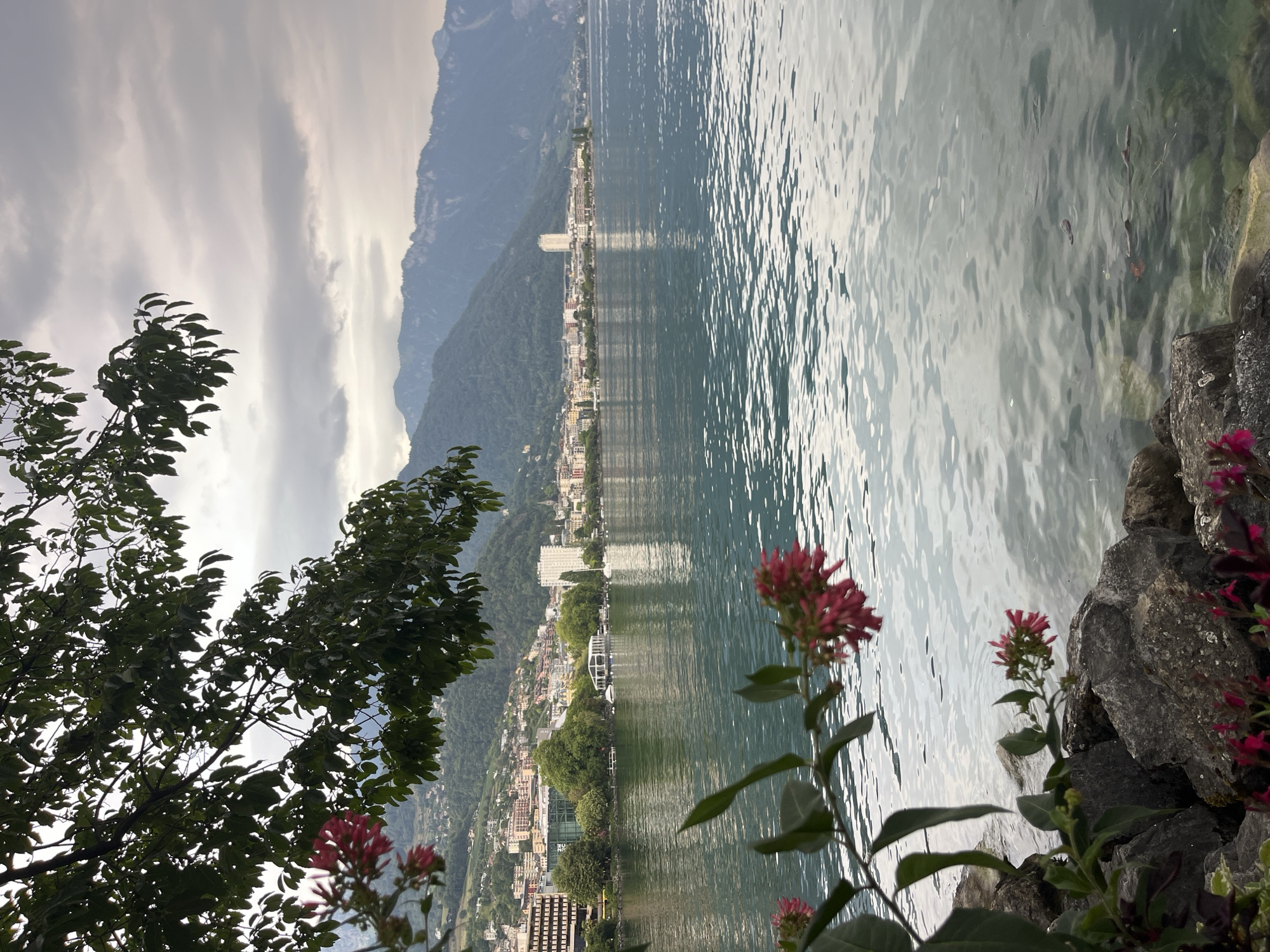 The image captures a serene waterscape with a city nestled in the background, framed by lush greenery. In the foreground, large, grey rocks line the edge of a calm, shimmering body of water, with pink flowers and dark green leaves providing a soft, natural border. The water's surface reflects the overcast sky and the distant mountains, creating a tranquil, almost moody atmosphere.
Beyond the rocks and water, the city of Montreux, Switzerland, unfolds along the lakeside. Buildings of various heights and architectural styles, predominantly in light colors, are visible, interspersed with trees and a few taller, modern structures. The city sprawls up the gentle slope of the mountains that form a dramatic backdrop, their peaks shrouded in a soft haze under the cloudy sky. Several boats are docked or cruising on the lake, adding a touch of activity to the otherwise still scene. The overall impression is one of natural beauty and urban life coexisting harmoniously.