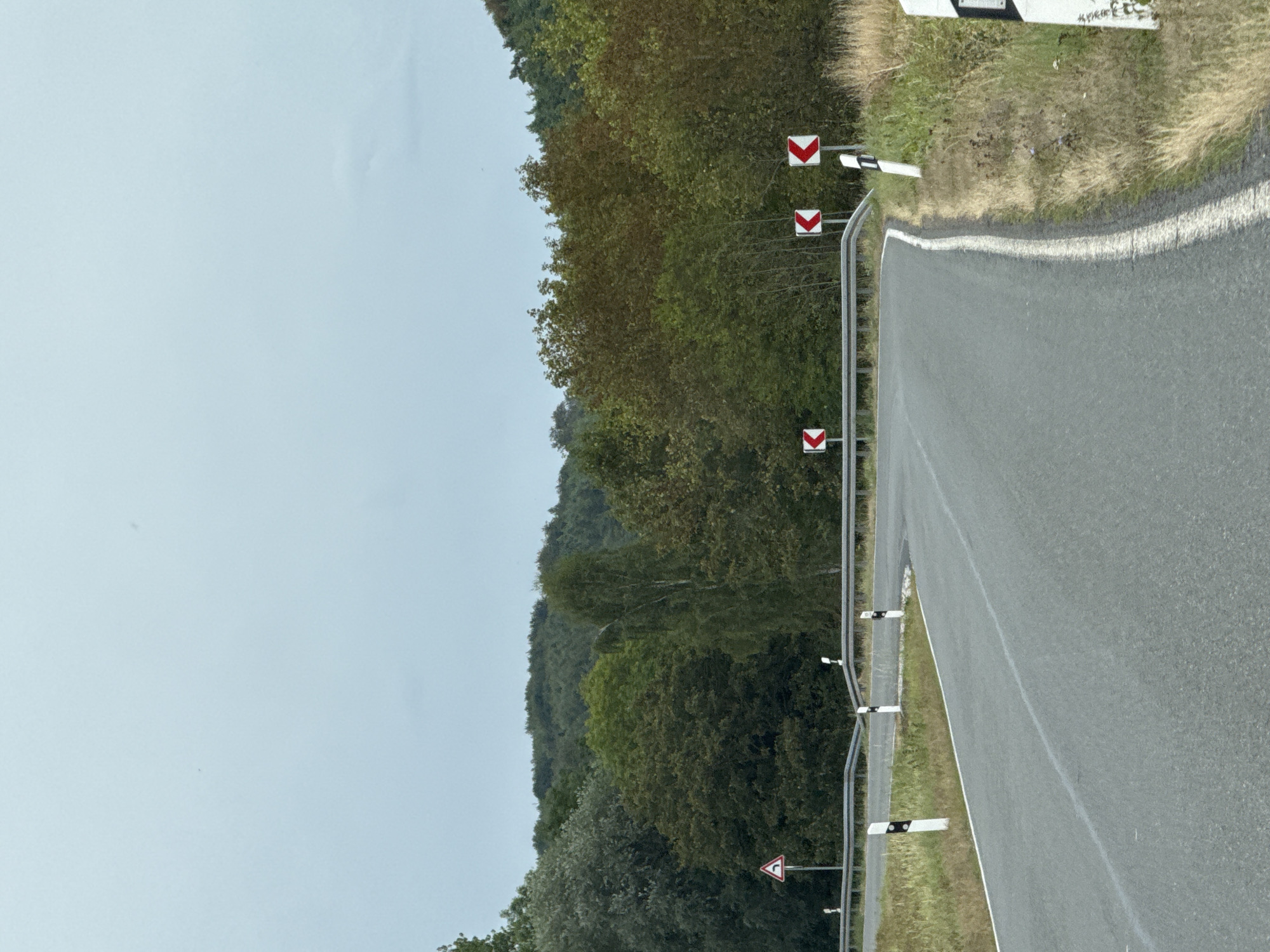 The image shows a two-lane asphalt road curving to the right in Ellrich, Germany. The road is bordered by a metal guardrail and white posts with black stripes, indicating a curve ahead. Several red and white directional arrow signs are visible along the guardrail, warning of the road's curvature. The surrounding environment consists of lush green trees and a wooded hillside under a cloudy sky. The scene appears to be an outdoor landscape with no people or vehicles present.