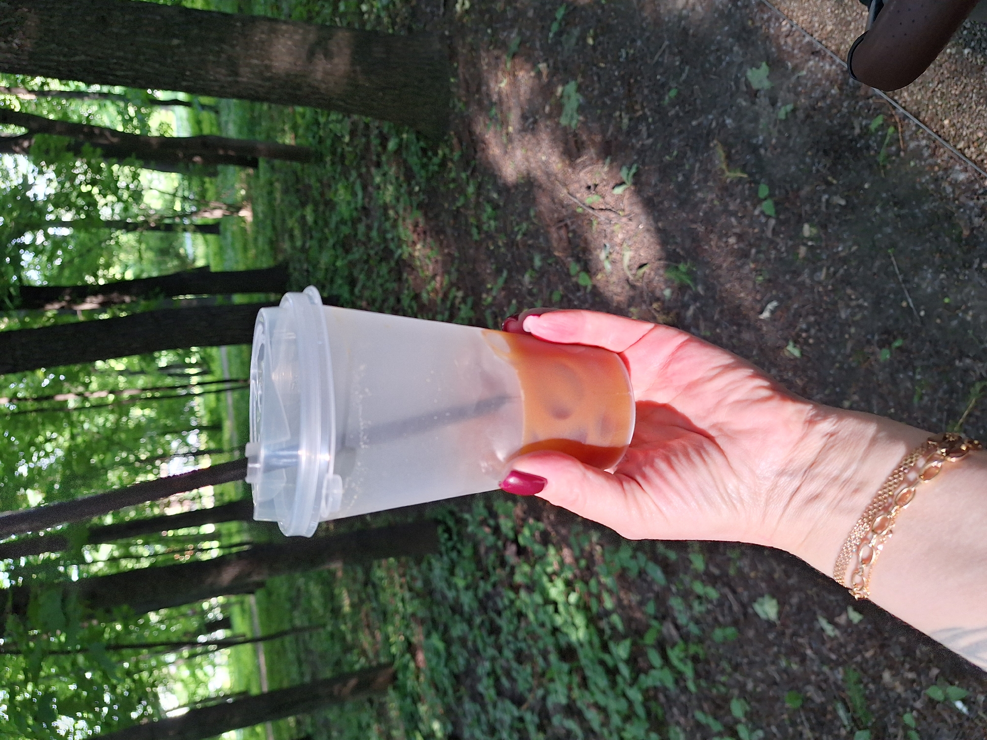 The image, rotated 90 degrees clockwise, captures a person's hand holding a transparent plastic shaker bottle in an outdoor setting. The hand, adorned with dark red nail polish on the fingernails and a golden chain bracelet on the wrist, holds the bottle which is approximately half-full with a light brown, creamy liquid, possibly coffee or a protein shake. A dark mixing component or straw is visible inside the bottle.
The background depicts a vibrant, sunlit park or wooded area, consistent with locations in Moscow. Numerous tall, dark tree trunks rise vertically, indicating a dense canopy above. The ground is a mix of dark earth and abundant green foliage, suggesting natural undergrowth and a walking path. Bright sunlight filters through the trees, creating dappled light and shadows across the scene.
The activity appears to be a leisurely moment, perhaps a break during a walk, where the individual is about to drink from the shaker bottle. The clear sky and strong shadows indicate a sunny day, likely late morning or afternoon. No visible text is discernible on any object in the image.