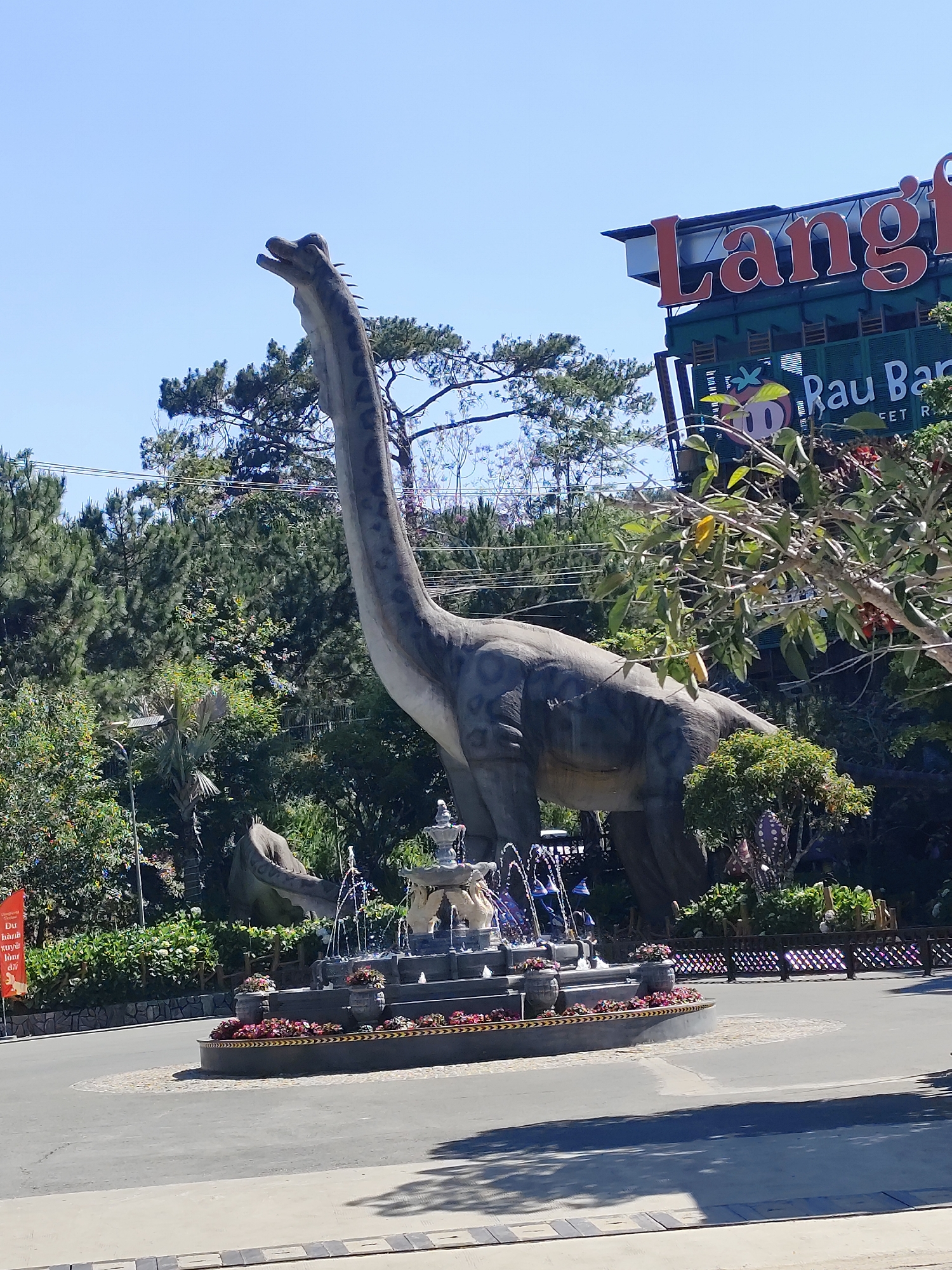 The image depicts an outdoor daytime scene under a clear blue sky at the Langfarm complex in Thành phố Đà Lạt, Vietnam. A large, grey Brachiosaurus-like dinosaur statue stands prominently in the center-right, featuring a long neck angled upwards and visible spotted patterns on its body. In front of this statue, a multi-tiered stone fountain actively spouts water, surrounded by a circular paved area decorated with potted pink and red flowers. To the left of the main dinosaur, a portion of another grey dinosaur statue, resembling a quadrupedal species, is visible. The statues and fountain are encompassed by dense green foliage, including tall pine trees, bushes, and other deciduous trees. In the upper background, a large sign with prominent orange lettering spelling "Langfarm" is displayed, with additional text "Rau Bap" visible below it. Overhead power lines are visible horizontally across the mid-left area. Shadows from unseen objects are cast onto the paved ground in the foreground. No individuals are present in the scene.