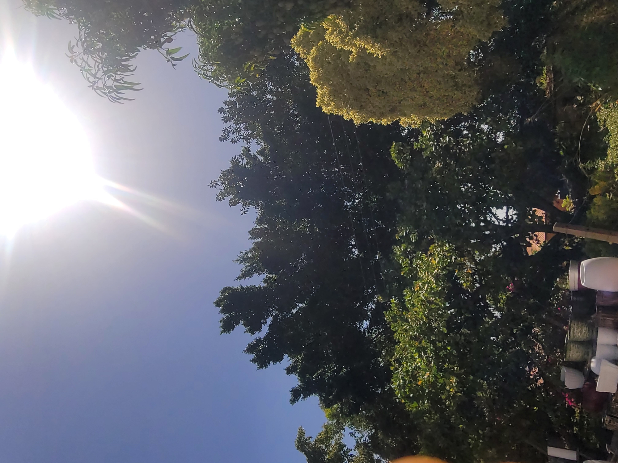 The image, taken from a low angle, shows trees against a bright sky. The sun is visible in the top left corner, creating a glare. The trees are dense with green and yellow foliage. The location is Jos, Nigeria, as determined by geotagged metadata. In the bottom right corner, there are objects that seem to be containers and wooden planks.