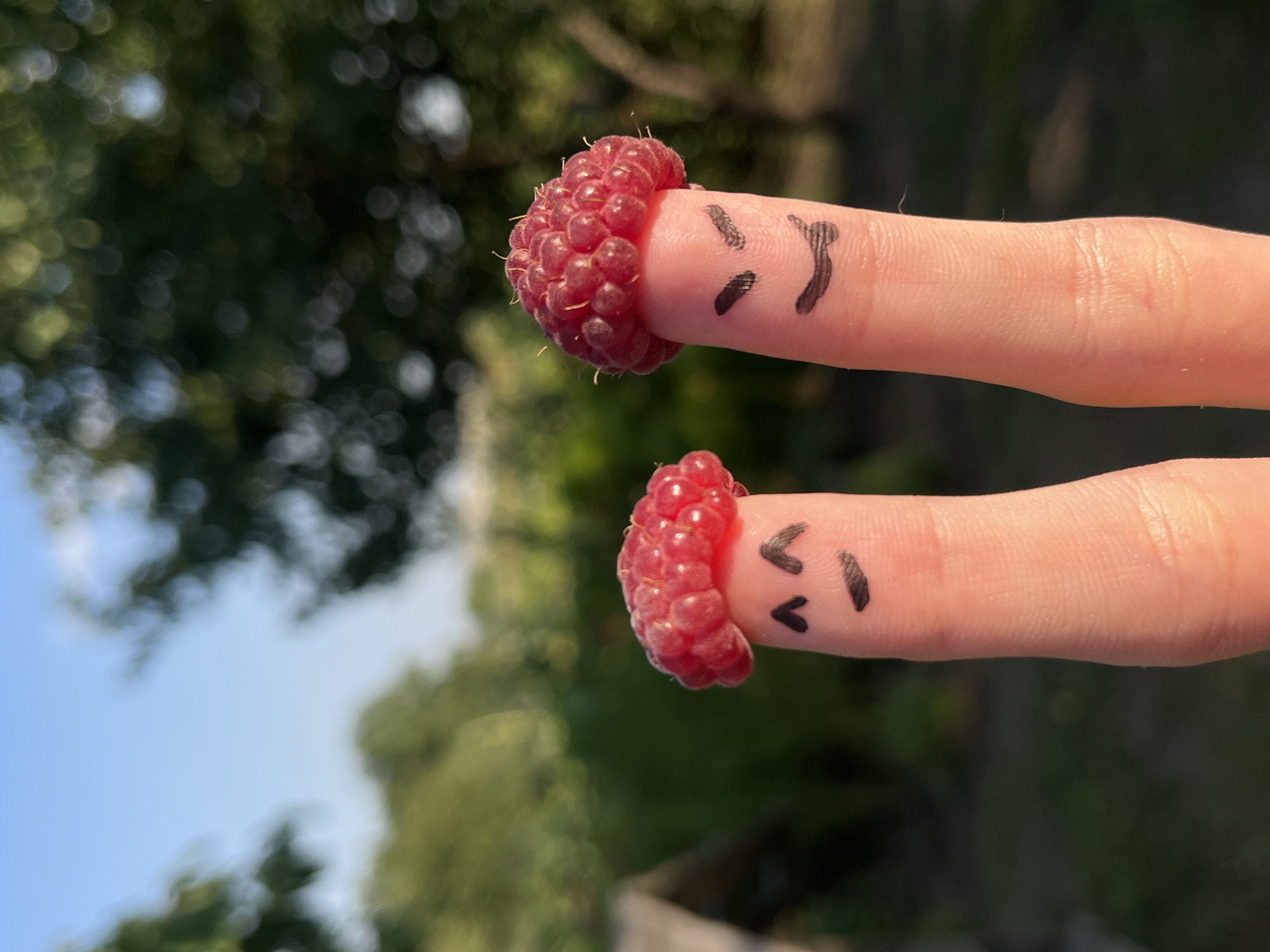 Two fingers are shown from the knuckles up, each with a raspberry perched on top like a hat. Black marker is used to draw faces on the exposed skin of the fingers. The left finger has a smiling face with two curved lines for eyes and a wide, happy smile. The right finger has an angry face with slanted lines for eyes and a frowning mouth. The fingers are positioned in front of a blurred background of green foliage and a blue sky.