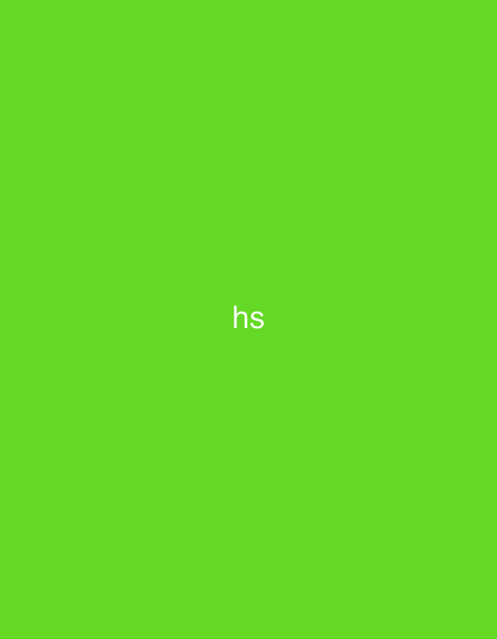 The image features a solid, vibrant green background, uniform in color and texture. Centrally positioned on this green field are the lowercase white letters "hs." The letters are crisp and clearly legible against the contrasting background. No other subjects, objects, people, or discernible environmental details are present. The scene is located in the city of Casablanca, Morocco.