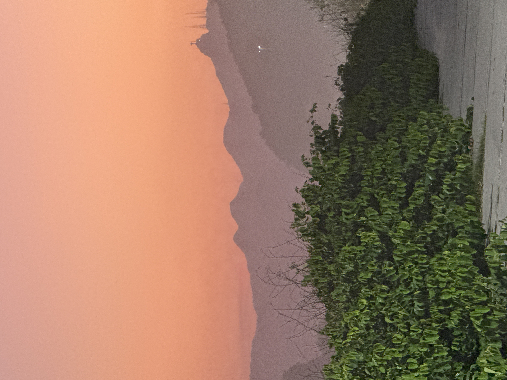 The image shows a twilight landscape with a gradient sky transitioning from light orange at the top to a soft pinkish hue near the horizon. In the foreground, a dense, vibrant green hedge runs horizontally across the lower half of the frame, with some dry, bare branches of deciduous trees visible above and behind it. Beyond the hedge, a paved surface, possibly a road or walkway, is visible.
In the mid-ground and background, a series of layered mountains recede into the distance, their forms softened by atmospheric haze. On the peak of the furthest visible mountain, silhouetted against the sky, is the iconic statue of Christ the Redeemer. Two tall, slender communication towers are also visible on or near the same mountain. A single bright light, possibly a streetlamp or aircraft, is visible on the slopes of a closer mountain range.
The scene captures a serene view of the landscape surrounding Rio de Janeiro and Niterói, with the presence of Christ the Redeemer indicating a location with a clear view of this landmark. This view is characteristic of areas in Niterói that overlook the Guanabara Bay and the city of Rio de Janeiro.