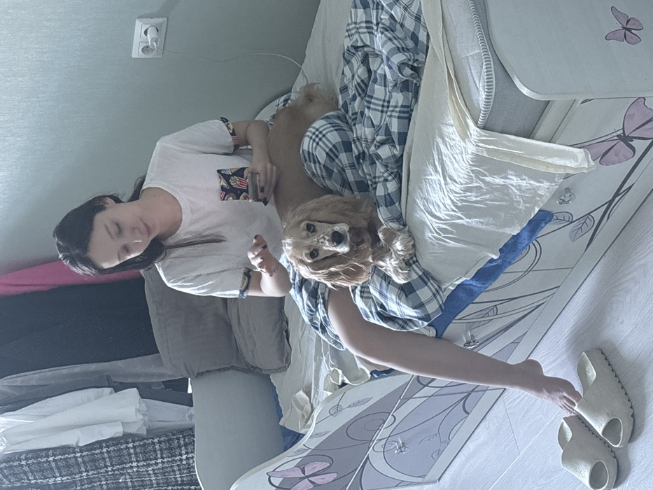 The image depicts an indoor domestic setting, described as Saint Petersburg, Russia, featuring one female individual and one canine. A female with long dark hair is seated on a white-framed bed decorated with purple butterfly and leaf motifs. She is dressed in a white t-shirt with a patterned breast pocket featuring a popcorn motif and blue and white plaid pajama bottoms. Her bare right foot is visible near two light-toned slip-on sandals on the light wooden floor. The female is actively engaged with a smartphone, holding it in her left hand and positioning her right hand over the device, while looking downwards. To her right, a light-colored, speckled canine, consistent with a Cocker Spaniel breed or type, is positioned on the bed, facing the camera with its front paws crossed. The bed is partially covered by a blue and white plaid blanket and white sheets. A white electrical outlet with two plugs inserted is mounted on the light blue wall in the background. To the left background, a clothing rack holds various garments, including plaid and plain items.