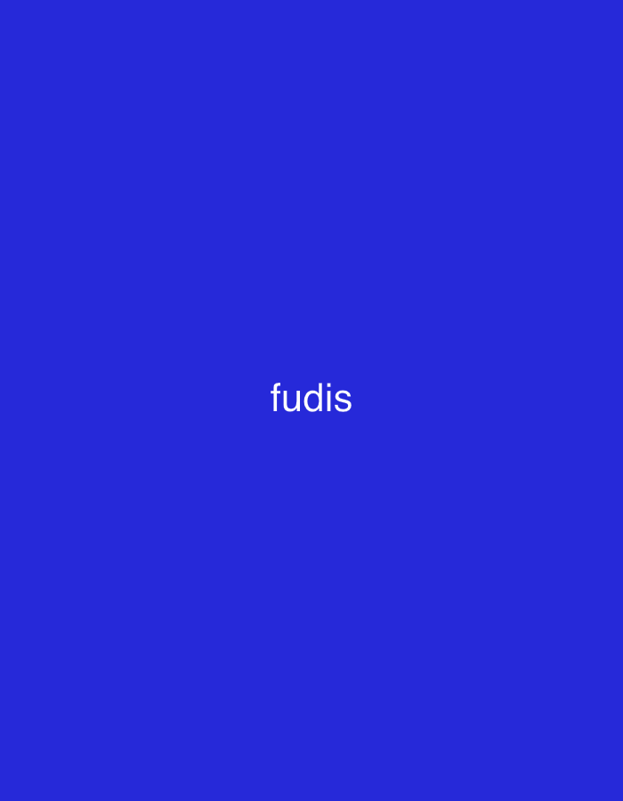 The image shows the word "fudis" in white text against a solid blue background. No information about the city of Yerevan, Armenia can be derived from the image.