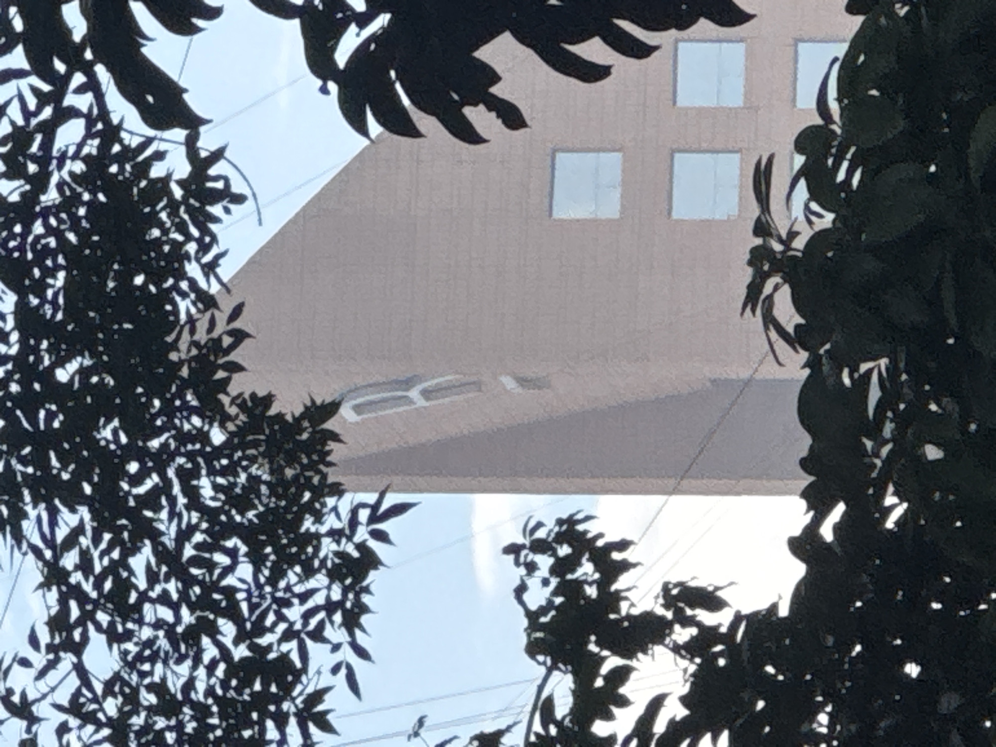 The image shows a partial view of a building with a few windows visible, framed by tree branches and leaves. The building is light brown, and the windows reflect the sky. The branches are dark and silhouetted against a light blue sky. The location is Unknown, Unknown. The overall scene is obscured by the vegetation.