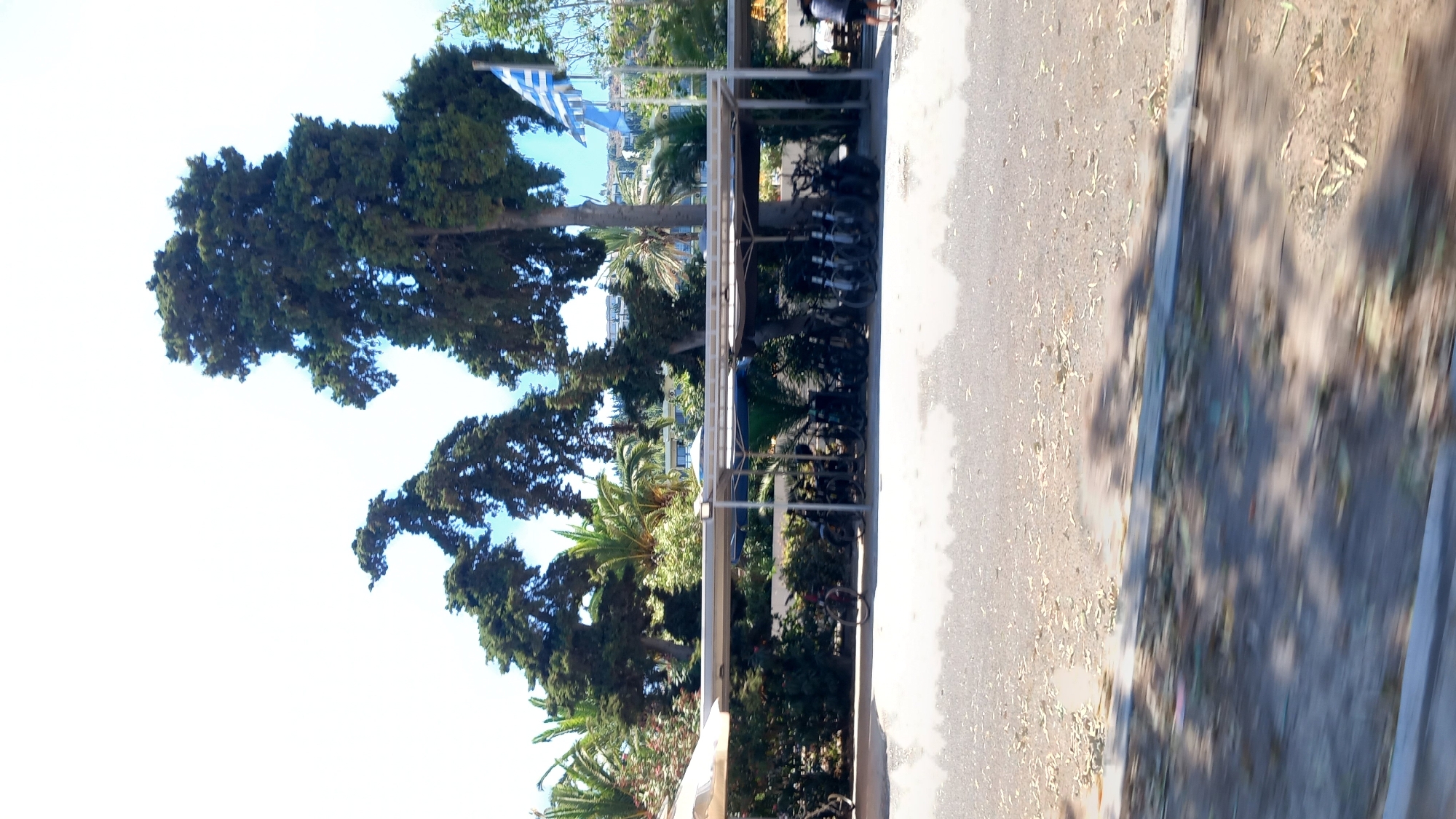 In the city of Kos, Greece, a row of bicycles and scooters are parked under a covered shelter, presumably for rent. The shelter is supported by metal poles and has a dark fabric roof. Behind the shelter, lush green trees and palm trees provide a shaded backdrop. The Greek flag is visible flying from a flagpole, adding a patriotic touch to the scene. In the distance, a few buildings are visible, suggesting the area is close to a town or resort. The ground in front of the shelter is paved, and the overall atmosphere is one of a bright, sunny day.