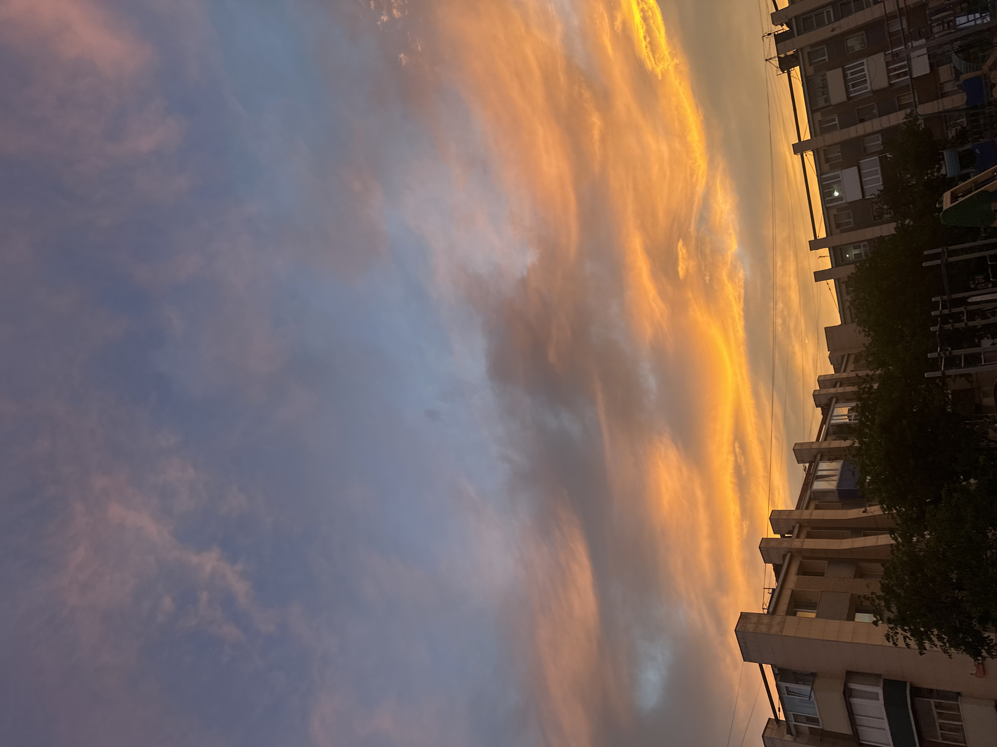 An outdoor, medium shot photograph captures a sunset over buildings and trees. The sky is a canvas of color, with vibrant oranges and yellows dominating the lower portion, transitioning to softer pinks and blues towards the top. Wispy clouds are illuminated by the setting sun, creating a dramatic and colorful display. In the foreground, the upper portions of several multi-story apartment buildings are visible, their facades a neutral beige and gray. Dark green foliage, likely trees, partially obscures the lower levels of the buildings, suggesting a residential area with some greenery. Power lines are strung across the scene, a common element in urban landscapes. The overall impression is one of a serene evening in a city, likely Petropavlovsk-Kamchatsky, Russia, given the architectural style which is typical of Soviet-era apartment blocks commonly found in Russian cities. No people or specific actions are discernible in the image.