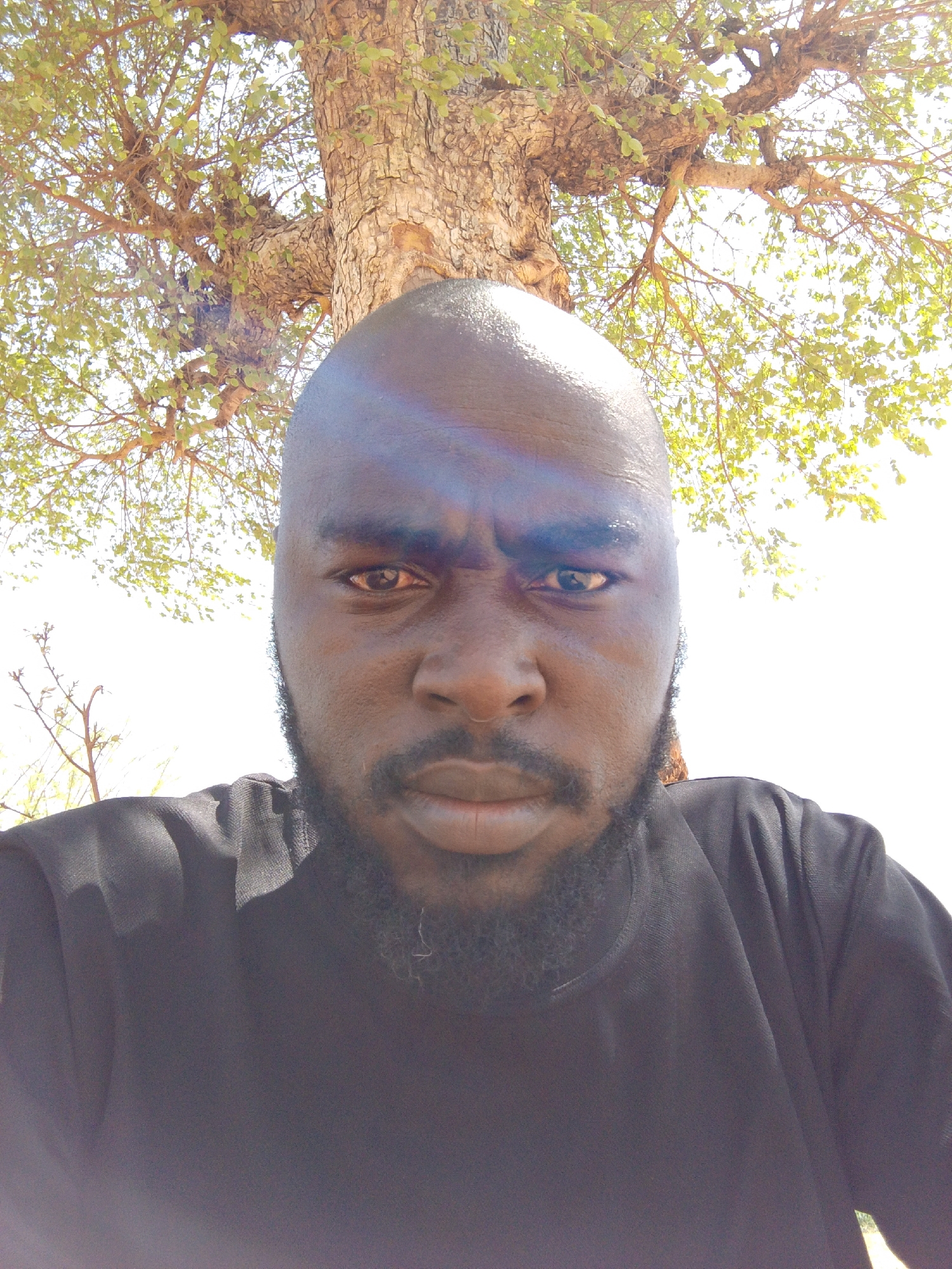 The photograph depicts a Black man with a shaved head, dark eyes, a beard, and a black shirt. He appears to be outdoors, with a tree visible in the background. The tree has a thick trunk and branches with green leaves. The location is suggested to be Mulke Barikin Sayejo, Nigeria, but there are no details in the image to confirm this.