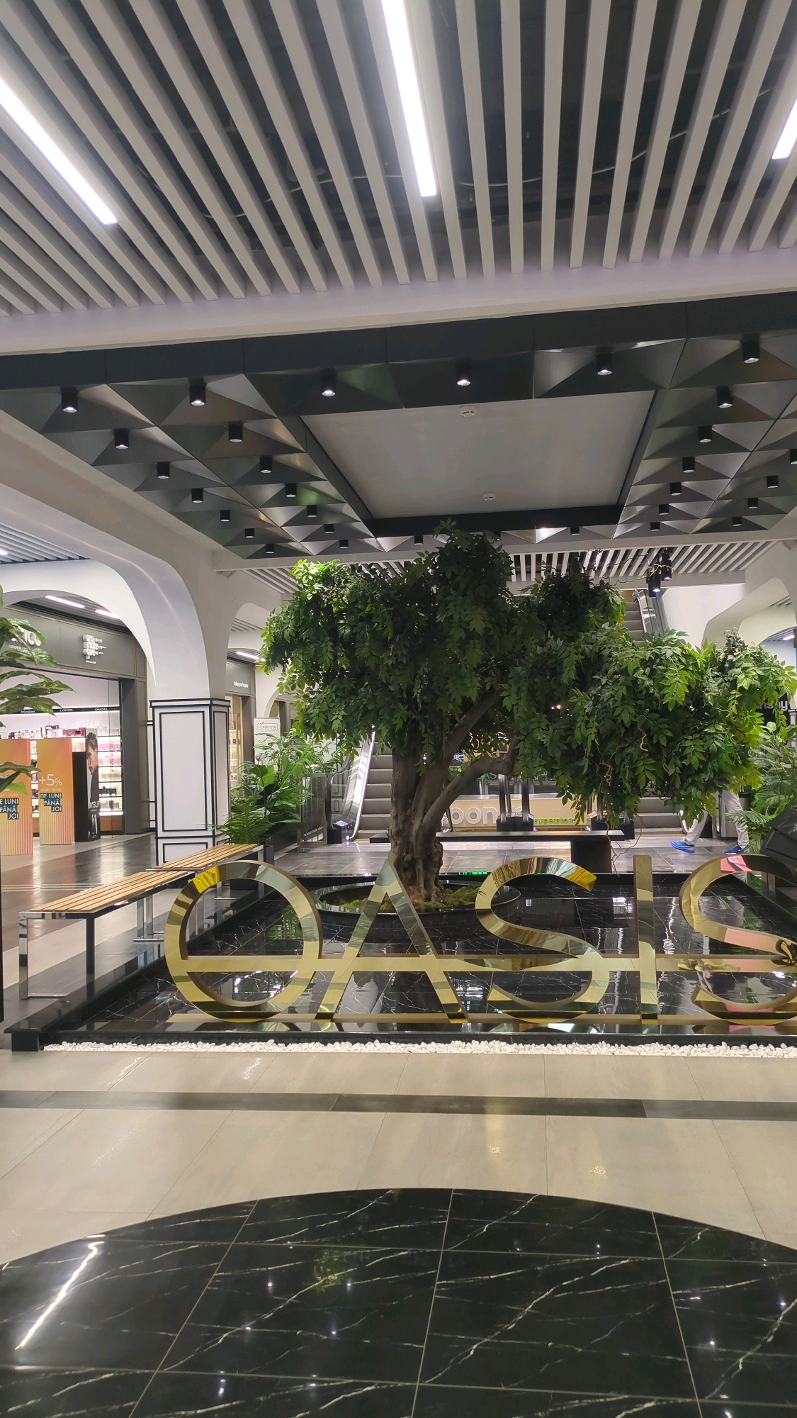 The image depicts the interior of the Atrium shopping mall in Chisinau, Moldova. The central focus is a large, artificial tree situated in a decorative pool. Gold lettering spelling out "OASIS" is submerged in the water around the base of the tree, reflecting the ambient lighting. The pool is surrounded by dark, polished flooring with a marbled pattern. In the background, escalators are visible, suggesting a multi-level shopping environment. Archways and storefronts line the perimeter of the space, indicating the presence of various retail establishments. The ceiling features a modern design with linear lighting fixtures and geometric decorative elements. A wooden bench is placed to the left of the pool, and several potted plants are scattered throughout the area, contributing to a lush, artificial oasis aesthetic. No people are clearly visible or identifiable in the frame.