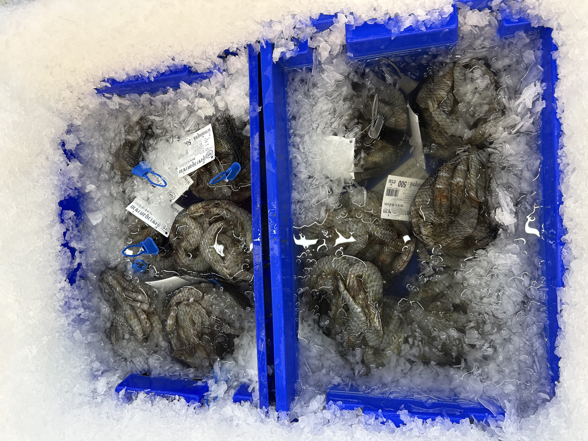 The image shows two blue plastic crates filled with ice and bags of shrimp, likely for sale in a market in Bangkok, Thailand. The bags are secured with blue tags and have price tags with Thai writing. The crates are surrounded by more ice, extending beyond the edges of the containers.