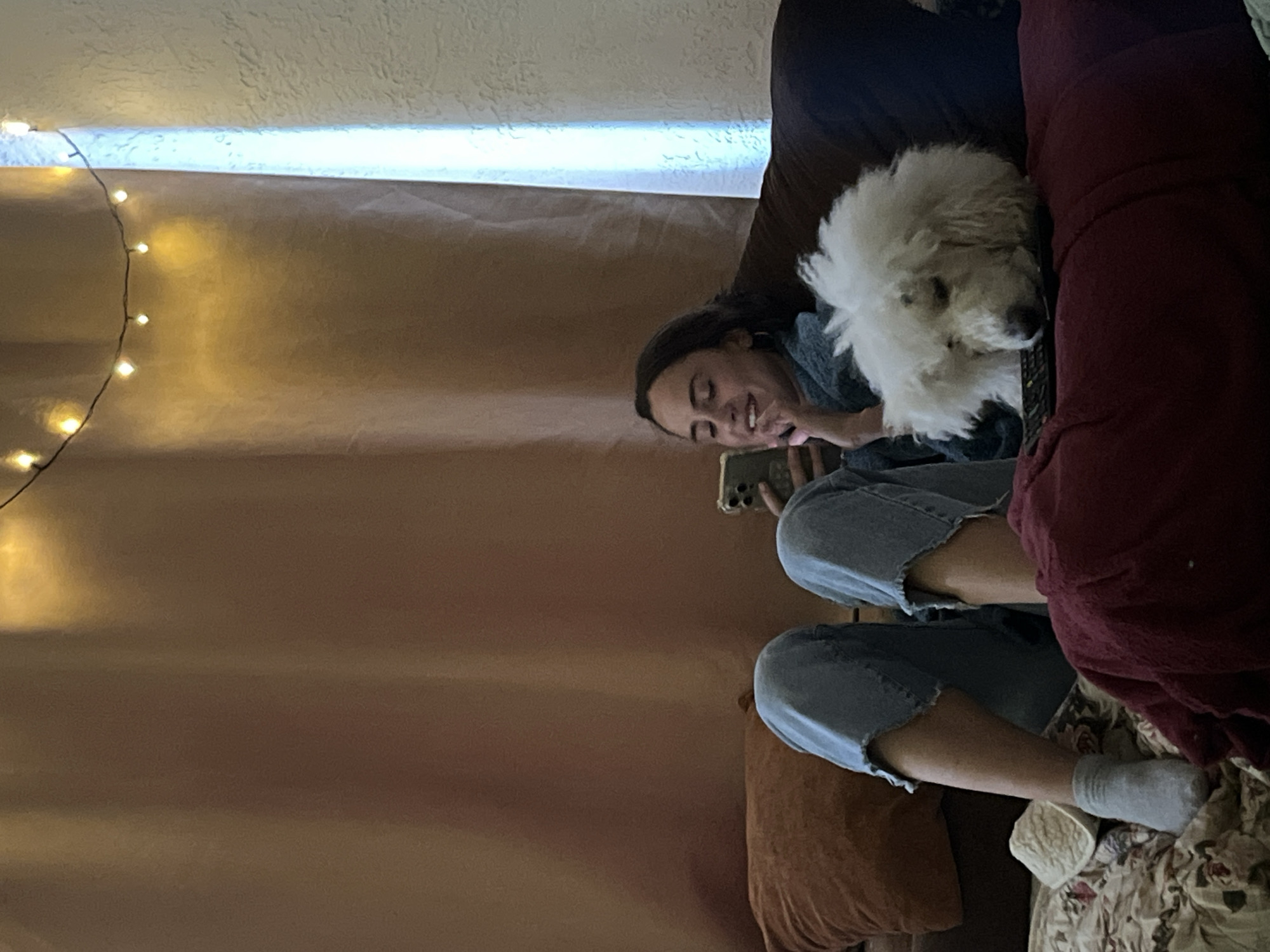 A woman sits on a couch with a small, white dog nestled next to her. The woman holds a mobile phone in her right hand. The couch is covered with a patterned blanket and cushions. A string of lights is visible against a wall, and a light fixture casts a bluish glow above the curtain. The location in the city of Krasnoyarsk, Russia is not determinable.