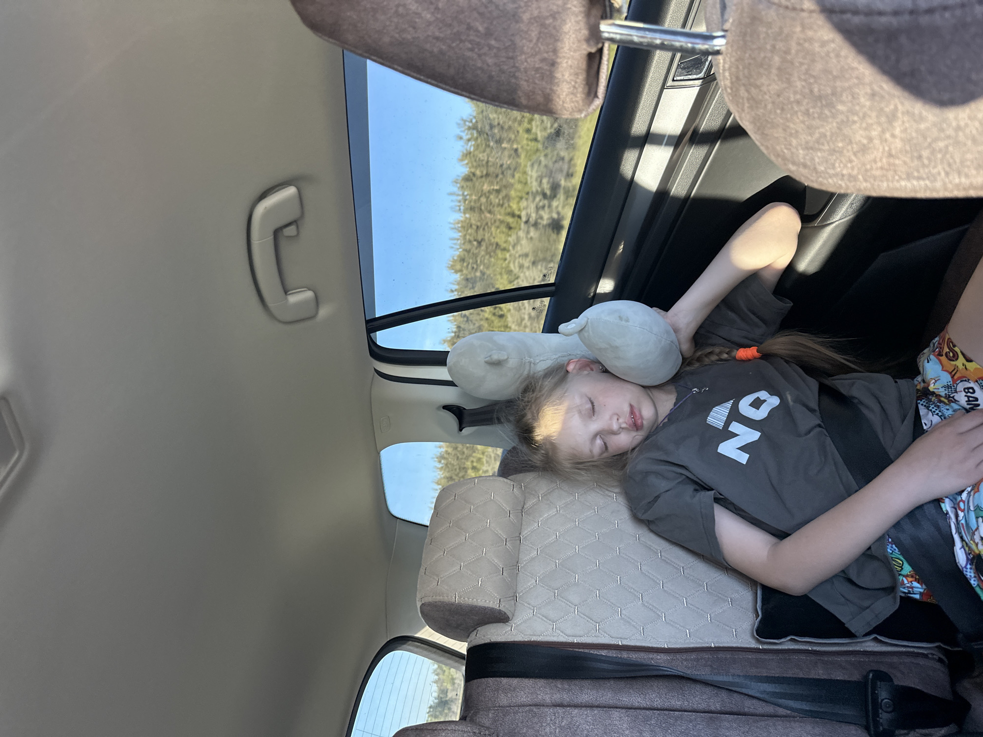 A young girl is asleep in the back seat of a car, resting her head on a plush travel pillow. She has blonde hair and is wearing a dark grey t-shirt with white lettering that appears to say "NO". She is also wearing brightly colored patterned shorts. The car's interior is visible, including the car seats, seatbelts, and a handle on the ceiling. Sunlight streams through the windows, suggesting it is daytime. Through the windows, trees and a bright blue sky can be seen, indicating an outdoor setting, possibly a rural or forested area. The girl appears relaxed and peaceful as she sleeps during a car journey. There is a second travel pillow visible behind her head. The scene suggests a road trip or travel.