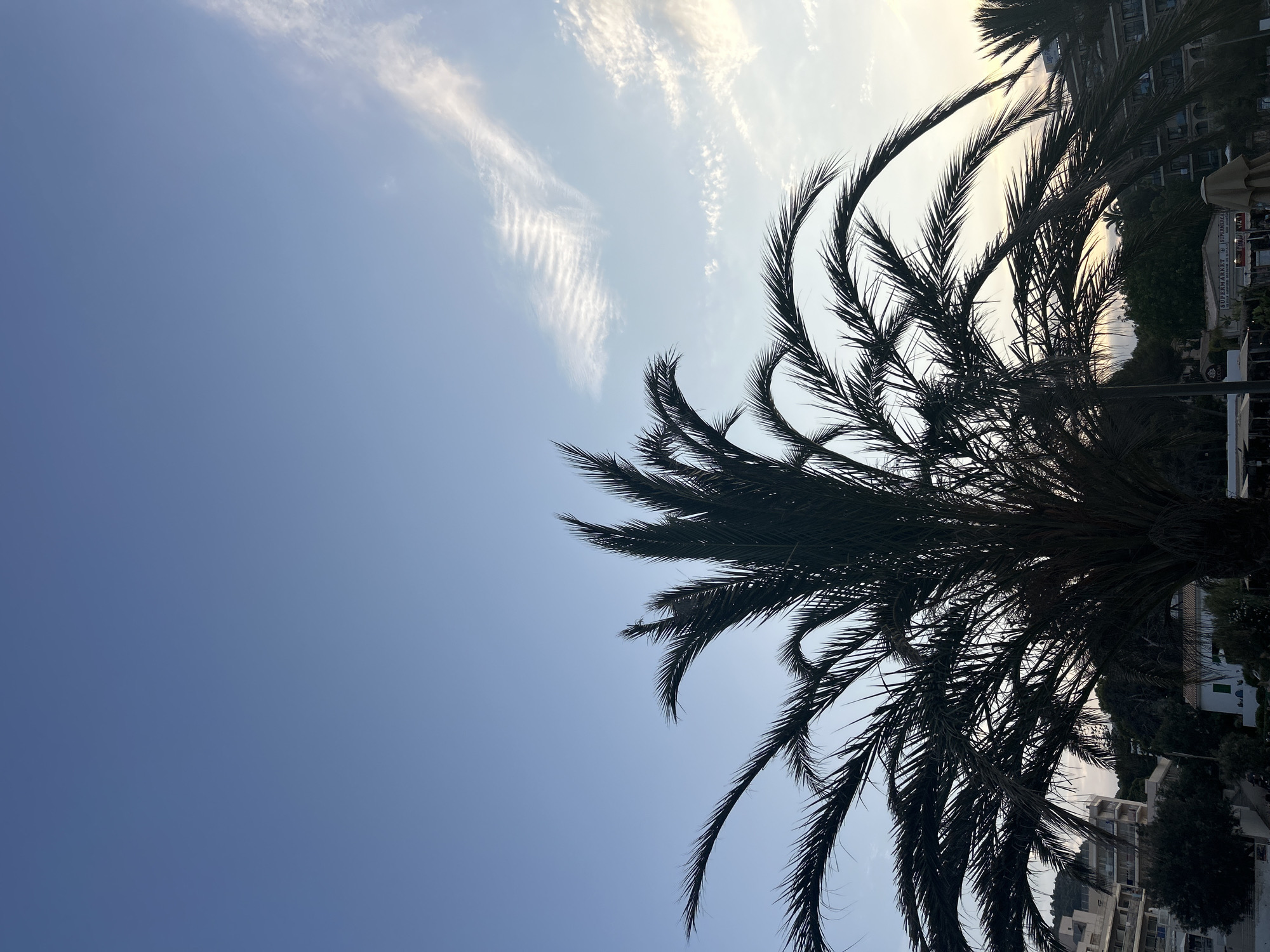 The image depicts a silhouetted palm tree in the foreground against a clear blue sky with wispy white clouds. In the background, a town is visible with buildings nestled among trees and hills. The architecture suggests a Mediterranean setting, likely the coastal town of Capdepera, Spain. The lighting indicates it is either early morning or late afternoon. No people or specific activities are discernable.