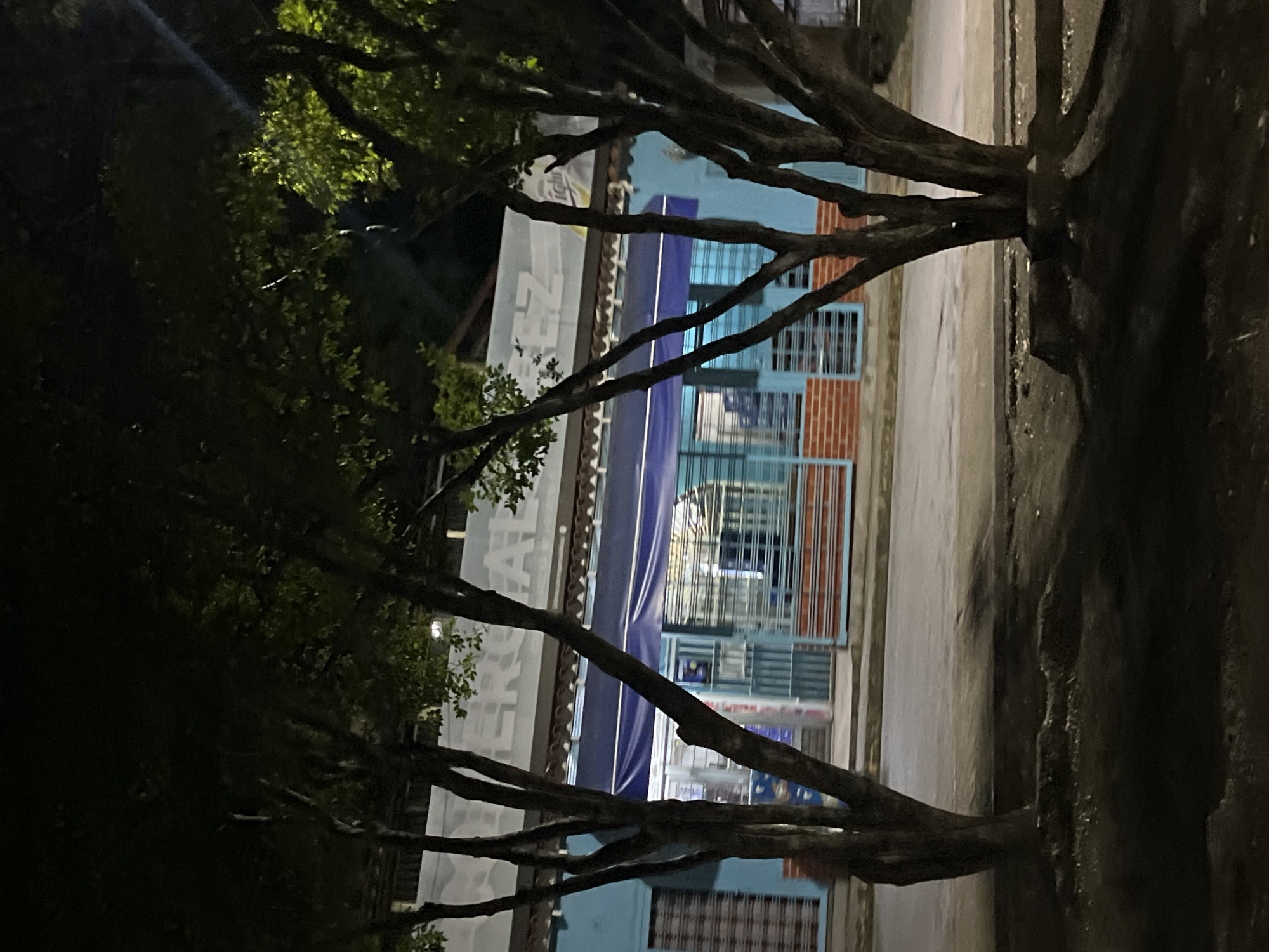 The image depicts a storefront at night, likely in Santa Ana, Venezuela. The building's facade is painted a light blue, with a large white banner above bearing partial lettering that reads "ERCIALEZ". A blue awning extends across the front of the store. The windows are covered with metal grating, and red brickwork is visible beneath the windows. In the foreground, silhouetted by the store's lights, are the trunks and branches of several trees, their leaves illuminated by unseen light sources. The ground in front of the store appears to be paved, with dark, unpaved ground covered in debris in the immediate foreground. The overall scene is dimly lit, suggesting it is nighttime.