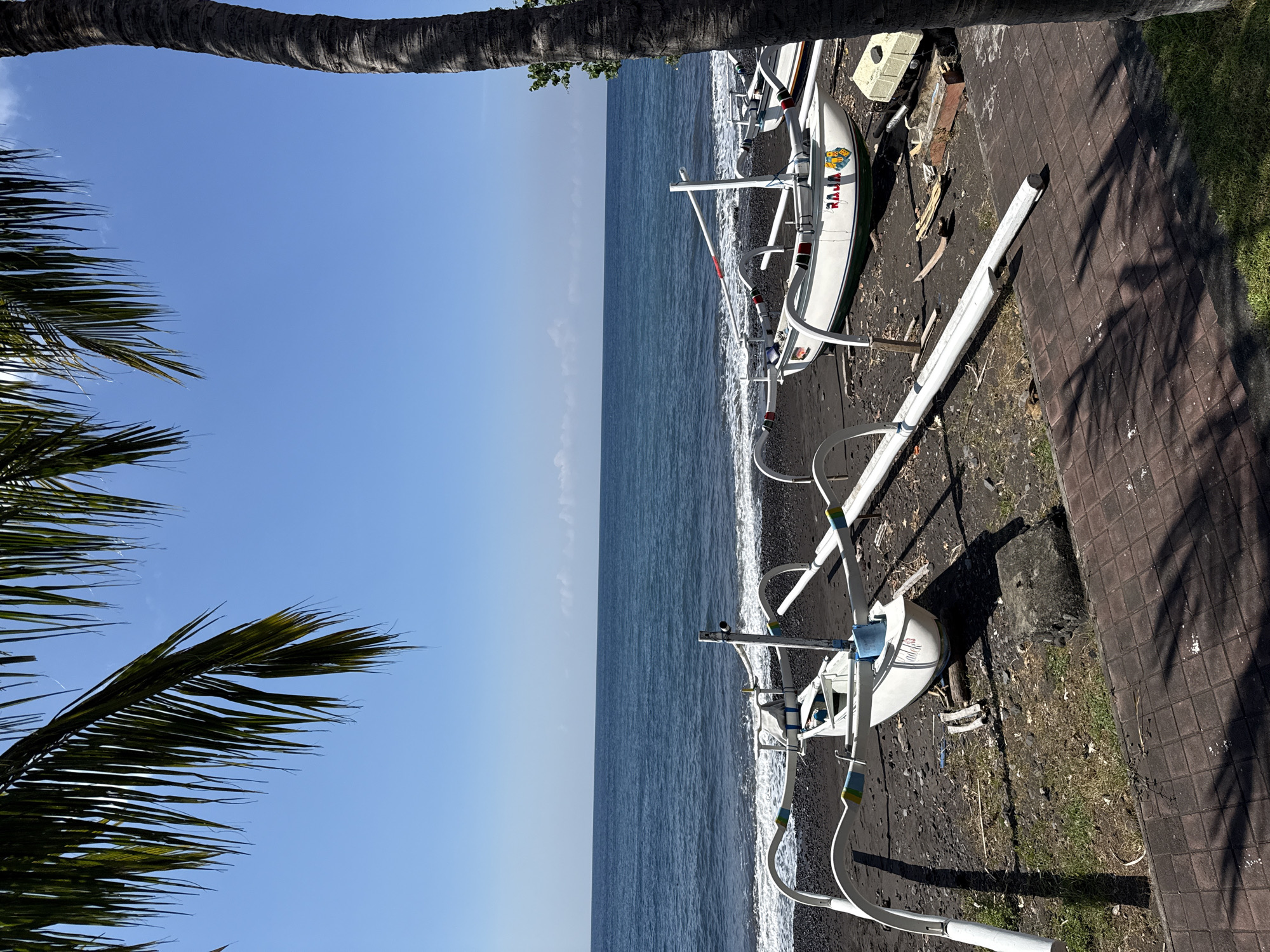 An outdoor, eye-level, medium shot shows a beach with several traditional outrigger boats resting on the dark sand, with the ocean in the background. The sky is clear and blue. Palm fronds from a large palm tree hang into the frame from the left and right sides, casting shadows on the ground. The boats are white with green trim and have outriggers that extend to the sides. One boat in the foreground has the word "RAJA" written on its side. The beach is dark and rocky. The water is a deep blue and appears calm with small waves rolling onto the shore. The scene is likely located in Kubu, Indonesia, a coastal village known for its black sand beaches and traditional fishing boats.