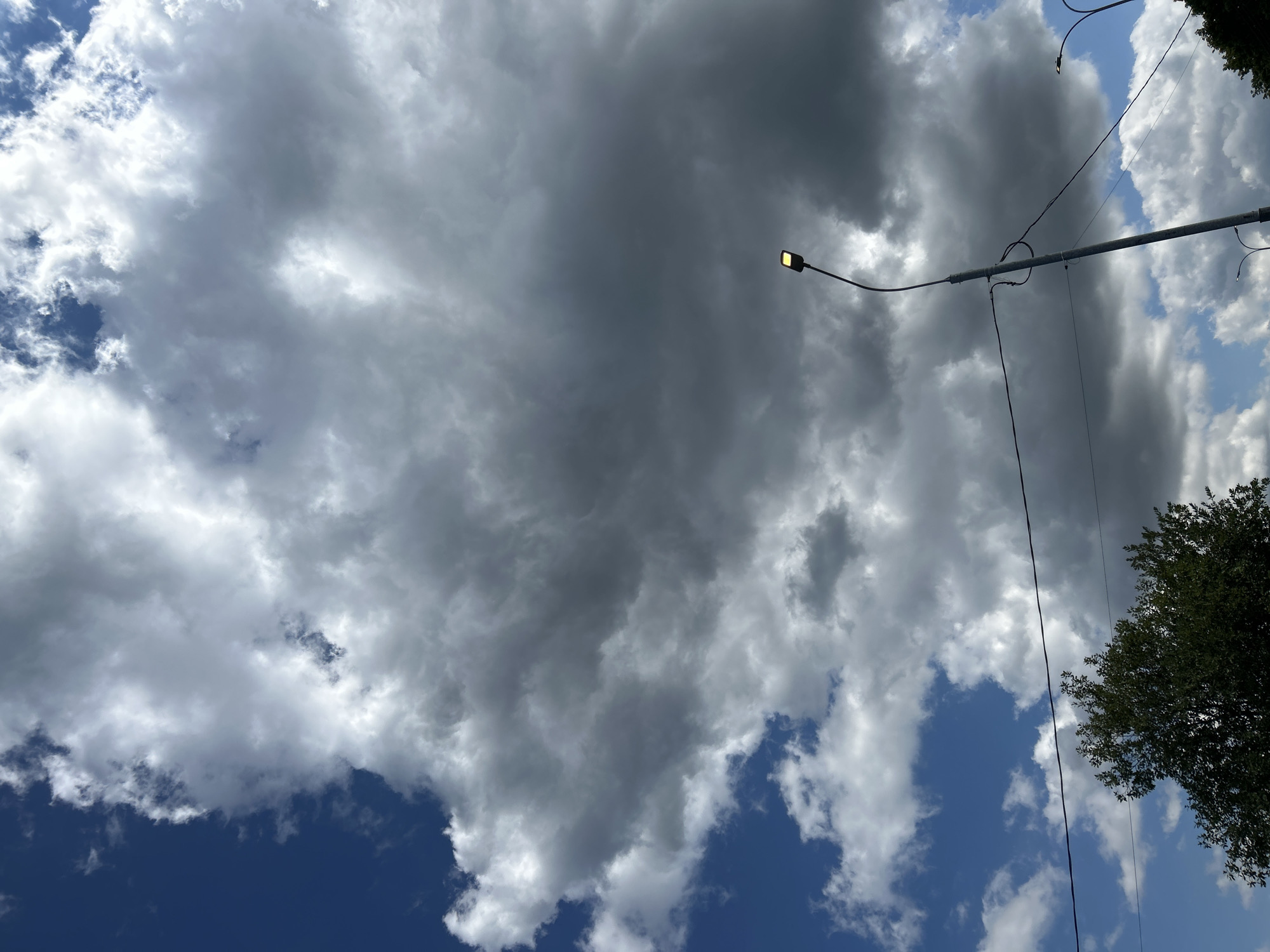 A low-angle, full outdoor shot captures a section of the sky with dramatic, gray cumulonimbus clouds dominating the upper and central portions of the frame. These clouds are juxtaposed against a bright blue sky, particularly visible in the upper left corner. In the lower portion of the image, the top of a leafy green tree is visible, silhouetted against the sky. A tall, slender utility pole with multiple wires attached stands prominently in the middle ground, extending from the bottom edge upwards. One of these wires runs horizontally across the frame, below the main cloud mass. At the top of the utility pole, a single lamppost with a yellow light is illuminated. In the lower right corner, the curved arm of another lamppost is visible. The scene appears to be located in Zelenograd, Russia, as indicated by the presence of typical urban infrastructure like utility poles and lampposts, against a natural backdrop of trees and sky. No people are visible in the image. The lighting suggests it is daytime, possibly transitioning towards evening or experiencing overcast conditions due to the dense clouds.