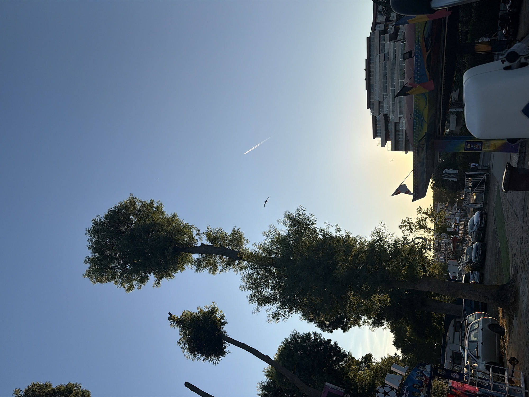 The image shows a view of trees against a clear blue sky with a sunset in the background. In the foreground, there is a carnival ride with colorful decorations and flags. Several cars are parked nearby. A modern building is visible in the distance. There are also two birds flying in the sky, one of which appears to be leaving a contrail. The scene appears to be a public space, possibly a fairground or amusement park.
