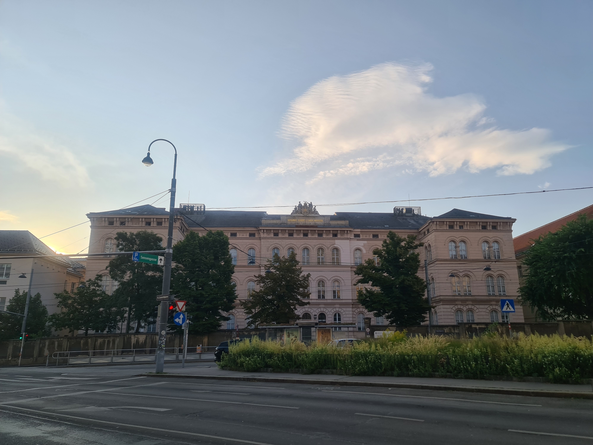 The image depicts a street scene in Vienna, Austria, in front of a large, pale pink building with multiple arched windows. The building appears to be a public institution, possibly a university or government office, as indicated by signage such as "Sensengasse" on a street sign. The sky is partly cloudy, with a large, wispy cloud formation dominating the upper right quadrant. A street lamp with a curved arm stands to the left of the building. Traffic lights are visible, one showing red and another green. There are trees and a dense patch of tall grass and vegetation in front of the building. The foreground shows a street with road markings and a portion of a sidewalk. The sun is setting or rising, casting a soft light on the scene. No people are clearly visible.