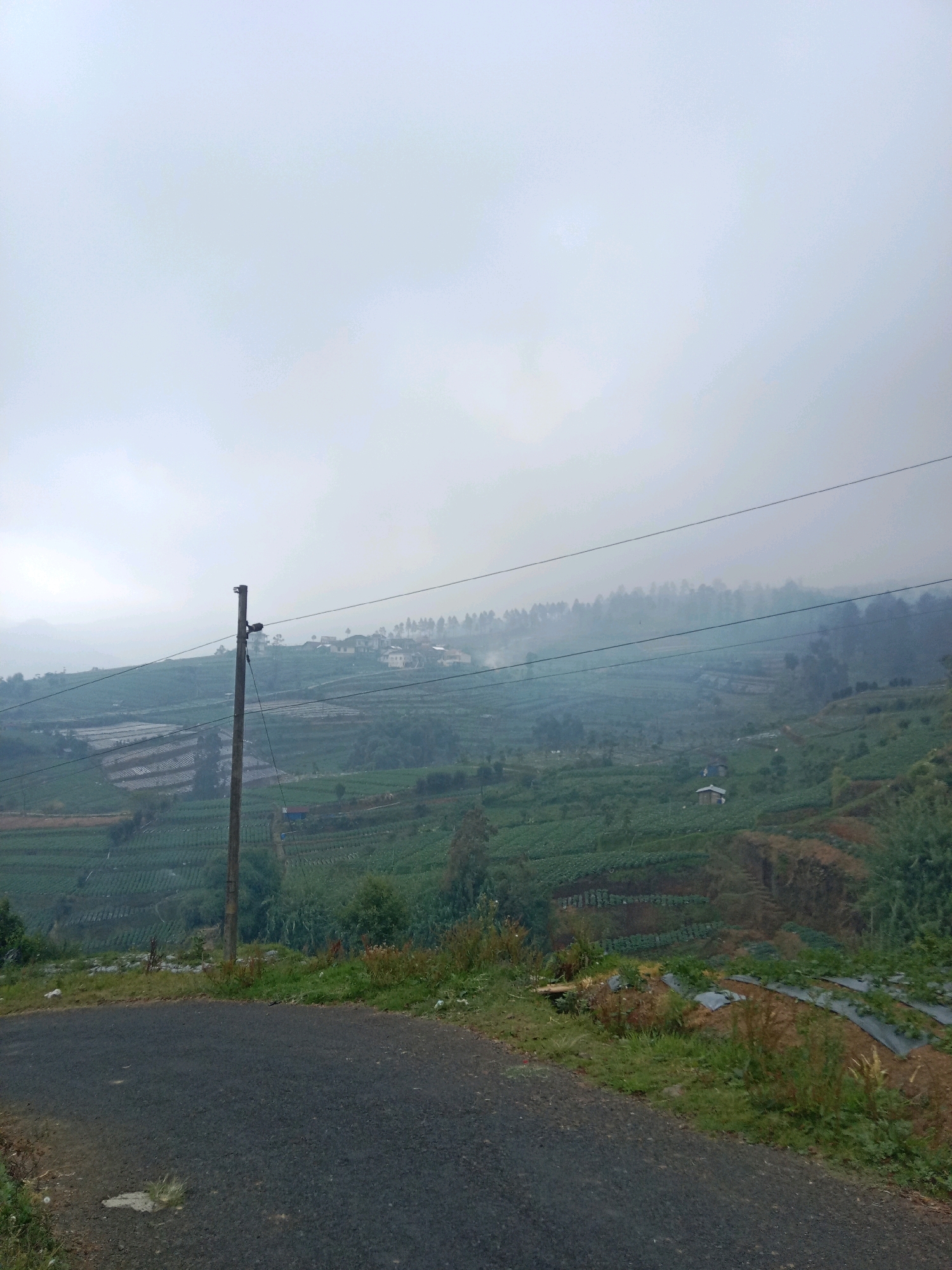 A landscape view shows terraced fields on a hillside under a cloudy sky. A dark asphalt road occupies the foreground, with grass and vegetation along its edge. A wooden utility pole with electrical wires runs vertically through the middle of the image, with wires stretching horizontally across the scene. In the middle ground and background, the terraced fields are planted with crops, appearing as rows of green. Small buildings are visible on the crest of the hill in the distance, which is part of the landscape in Batur, Indonesia. The overall impression is one of a rural, agricultural area under overcast conditions.