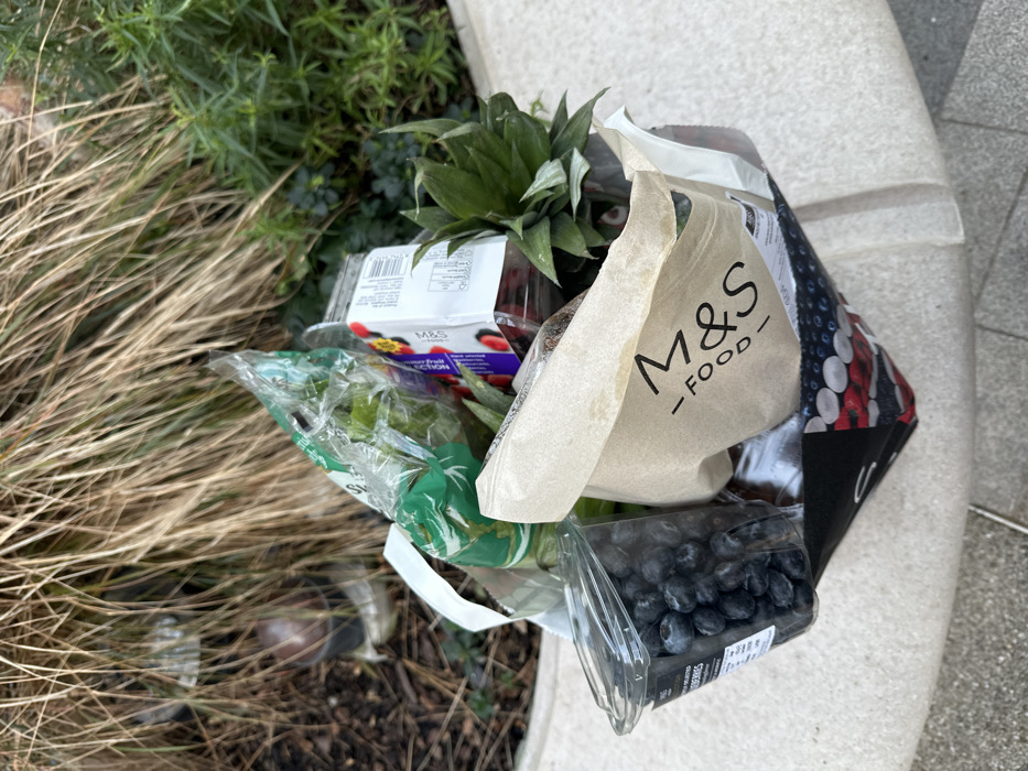 A discarded grocery bag from M&S Food sits on a stone ledge beside foliage. Visible contents include a pineapple, a container of mixed berries, a package of blueberries, and a plastic bag of salad greens. The bag appears haphazardly placed, with the items spilling out. Part of the scene includes some straw-like dead grass on the left, and other green plants.