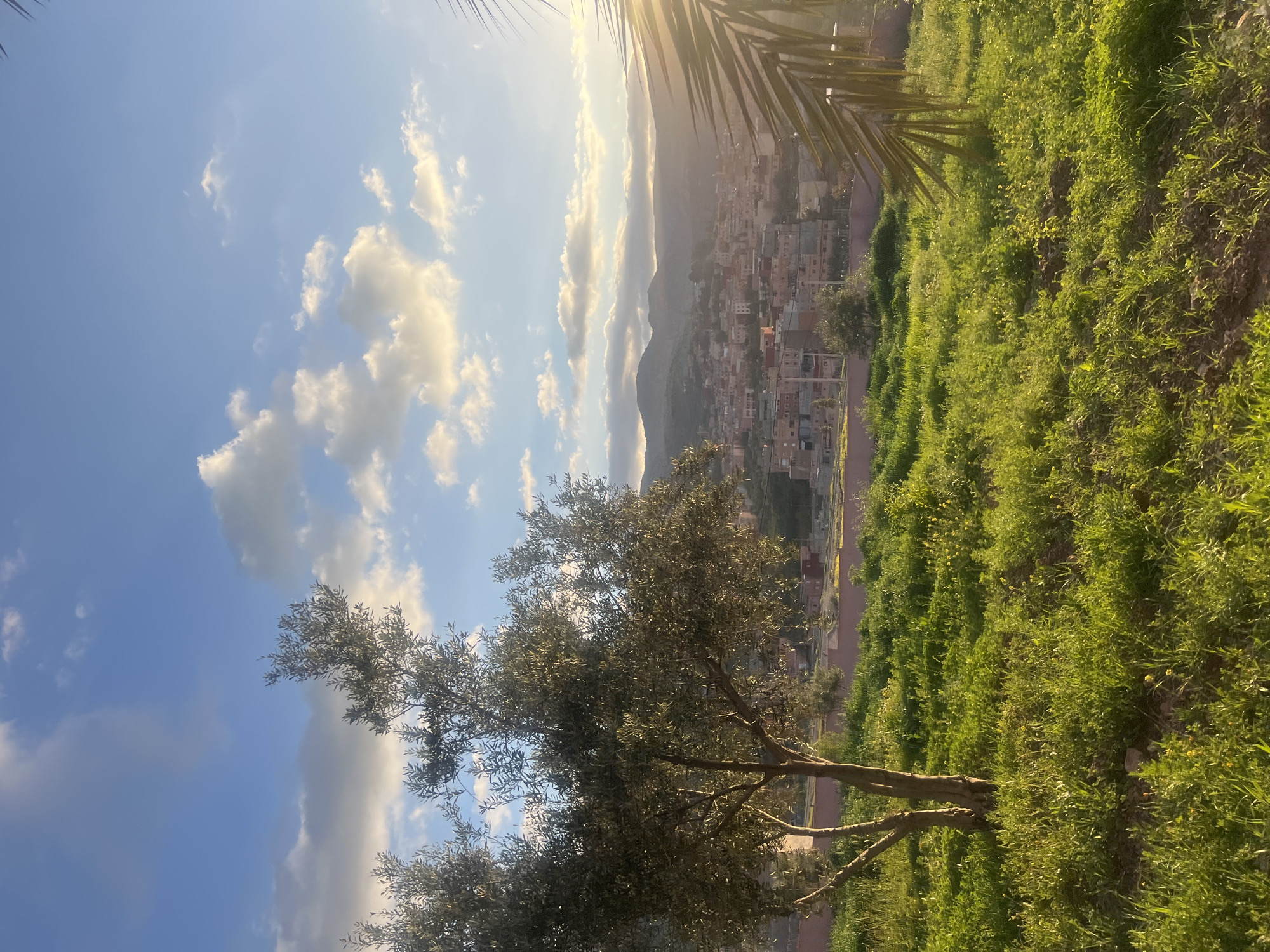 The image depicts a scene in Ouaouizert, Morocco. A tree stands in the foreground, against a backdrop of rolling green hills and a portion of the town nestled against a mountain. The sky is blue with scattered white clouds. Sunlight streams through palm fronds in the upper right corner.