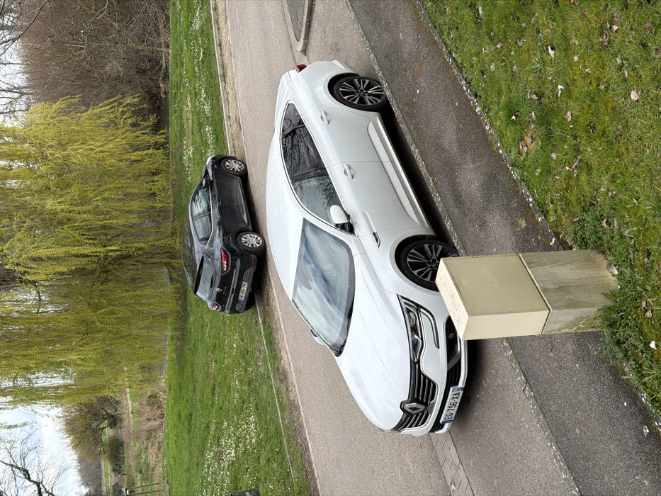 The scene depicts an outdoor environment in Eschau, France, on what appears to be an overcast day. Two passenger vehicles are parked on the side of a paved road.
In the foreground, a light beige utility box, mounted on a concrete base, stands on a grassy verge adjacent to a paved sidewalk. Immediately behind this box, a white four-door Renault Talisman sedan is parked facing left, displaying French license plate "EQ-756-XA" on its front bumper. Its wheels are multi-spoke dark alloy.
Further down the same road, a dark-colored (likely black) four-door Renault Clio hatchback is parked facing right, with its rear visible. It bears the French license plate "CB-484-TM" and has standard silver-colored wheels. The road surface is asphalt.
To the left of the road and behind the parked vehicles is a wide grassy area covered with numerous small white flowers, resembling daisies. A prominent large tree with bright yellow-green weeping foliage stands in the mid-ground. Behind this tree and the grassy expanse, a narrow body of water, possibly a canal or small river, is visible. The background consists of a dense line of deciduous trees with bare branches, suggesting early spring, under an overcast sky. No individuals are present in the scene.