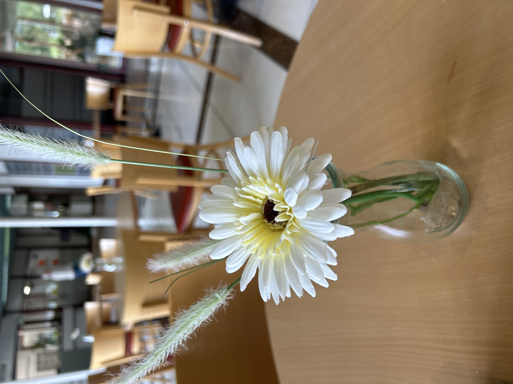 This image displays an interior view of a café or restaurant located in Gummersbach, Germany. In the immediate foreground, a small clear glass vase contains an artificial floral arrangement consisting of a white Gerbera daisy with a yellow and dark brown central disk, accompanied by two artificial foxtail-like grass plumes. Green stems and transparent gel-like elements are visible within the vase. The vase is positioned on a light-colored wooden tabletop that exhibits a subtle wood grain pattern. The background is intentionally blurred, revealing a spacious dining area. Numerous light-toned wooden tables, predominantly round, are arranged with matching wooden chairs featuring red seat cushions. Architectural features include large glass windows or partitions, white support columns, and a floor laid with alternating light and dark tiles. A single, indistinctly blurred individual wearing light clothing is visible in the distant background, appearing to be standing or in motion within the space.
