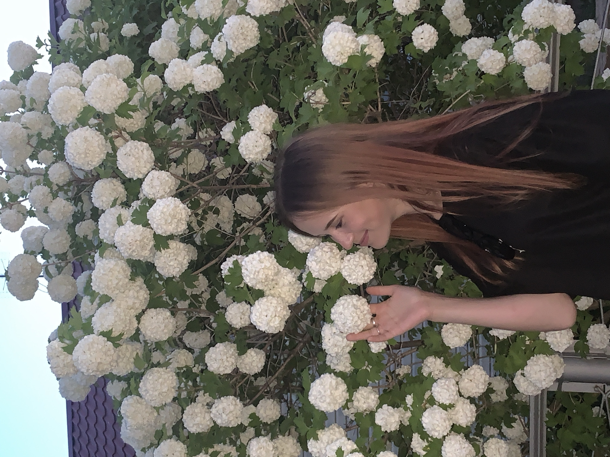 A young woman is photographed in Фоки, Russia. She stands in front of a large bush of white flowers, possibly snowball viburnum, and reaches out with her left hand towards one of the blooms. She has long light brown hair and wears a black top. The background includes glimpses of a roof and what appears to be a metal railing. The lighting suggests it is either early morning or late afternoon.