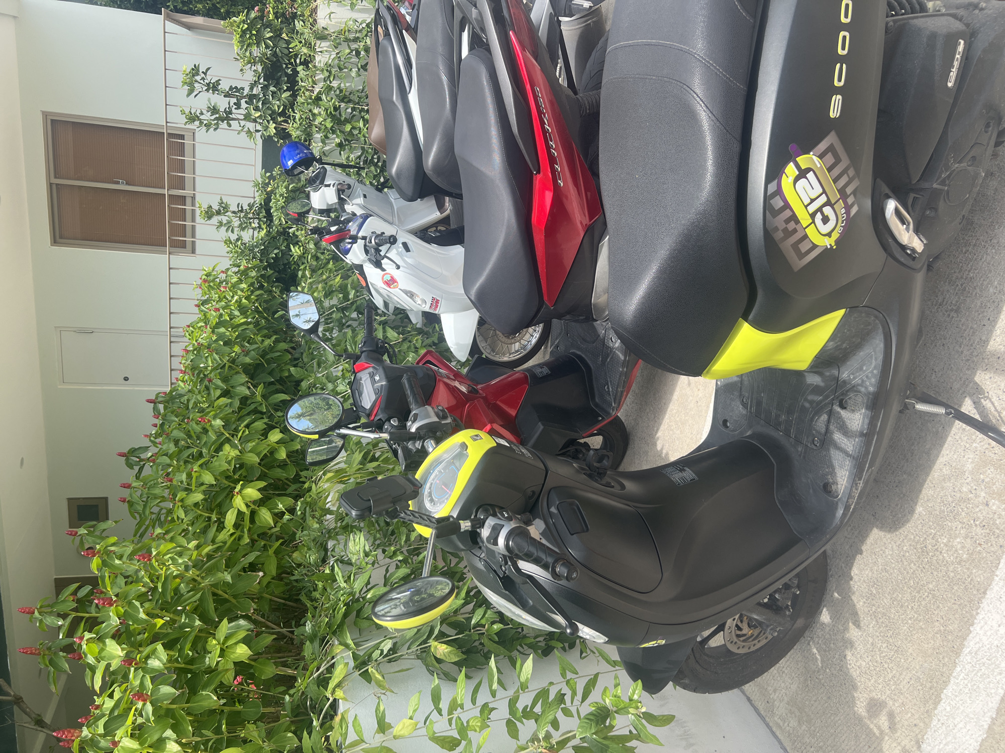 An outdoor, eye-level shot shows a row of parked scooters in front of a building in Ko Samui District, Thailand. The scooters are varied in color, including black, red, and white. The black scooter in the foreground has a yellow accent on its side and a "C12 Club" sticker. Behind it are a red scooter, a white scooter, and several other scooters partially visible. Lush green foliage with red flowers lines the front of the building, which features a light-colored facade and a window with horizontal blinds. The ground is a light-colored concrete surface. The lighting suggests it is daytime with sunlight casting shadows. No people are present in the image.
