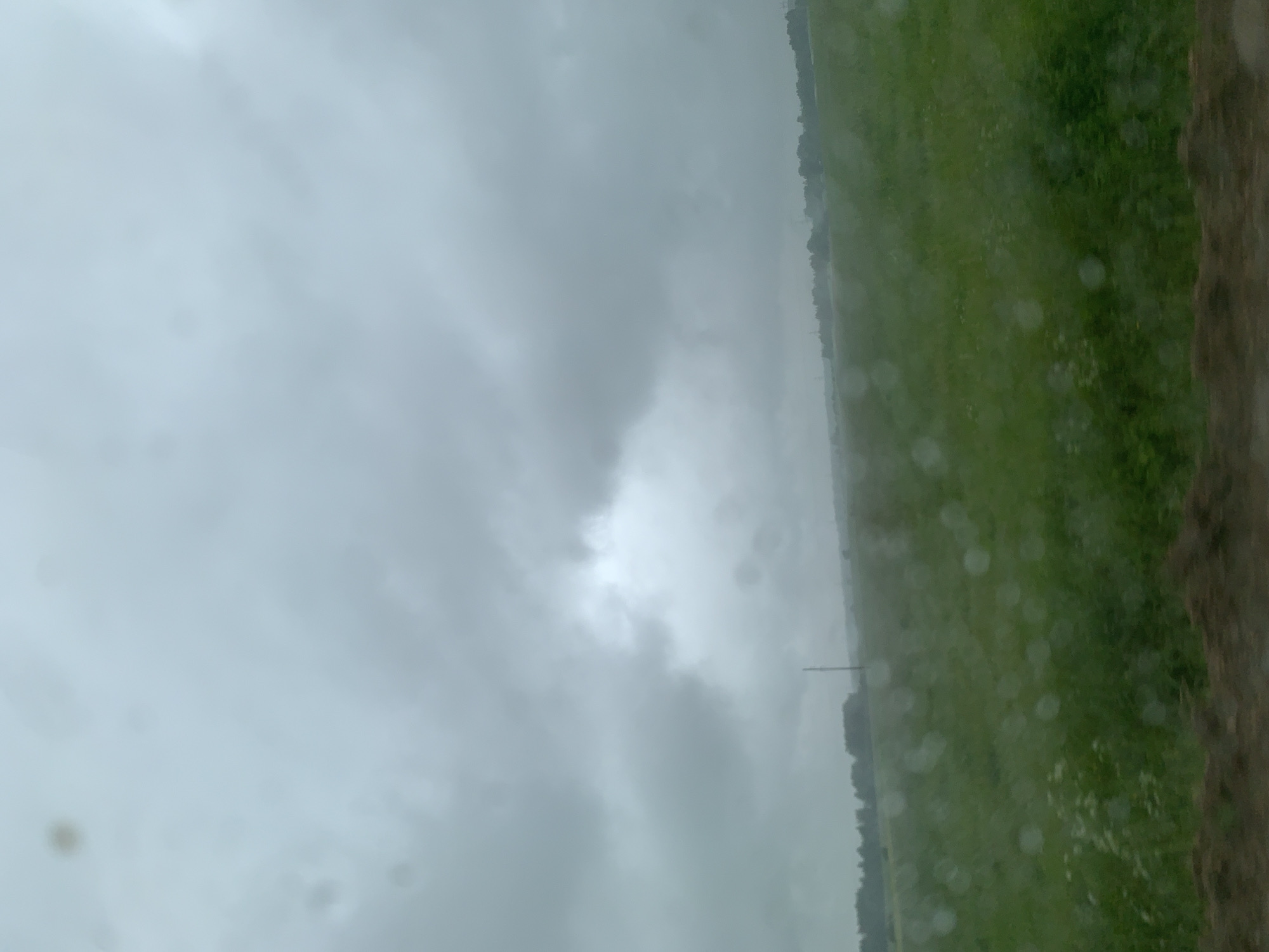 A photograph taken from a vehicle, looking out at a rural landscape under a cloudy sky. The foreground shows a dark, blurred strip of land, possibly the side of a road or a ditch. Beyond this, a vast green field stretches out, dotted with what appear to be small white wildflowers. In the mid-ground, a dark line of trees forms a distant treeline. A single, thin vertical pole stands out against the field in the middle distance. The sky is overcast with heavy grey clouds, obscuring any clear view of the sun. The overall impression is one of a somber, possibly damp, day in the countryside. The location is specified as Курапольскі сельскі Савет, Belarus.