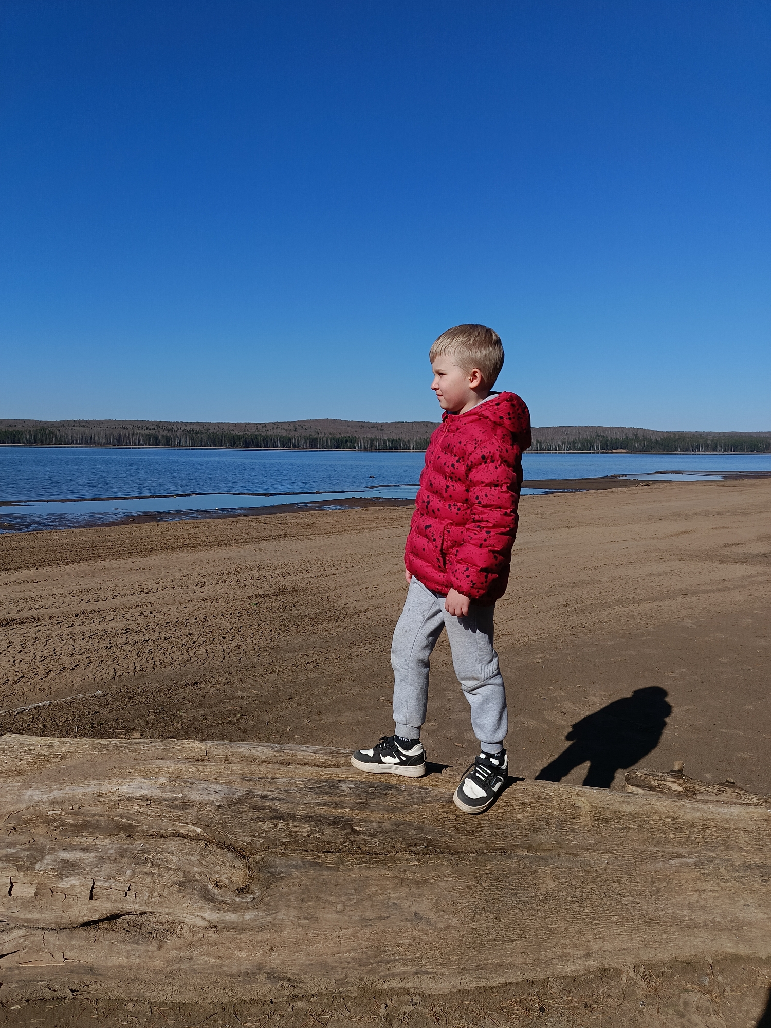 A young boy stands on a fallen tree trunk on a beach. He is wearing a red puffer jacket, grey sweatpants, and black and white sneakers. He is looking towards the water, which is bordered by a line of trees in the distance. The sky is clear and blue. The beach appears to be sandy. The location is a beach in the city of Unknown, Unknown.